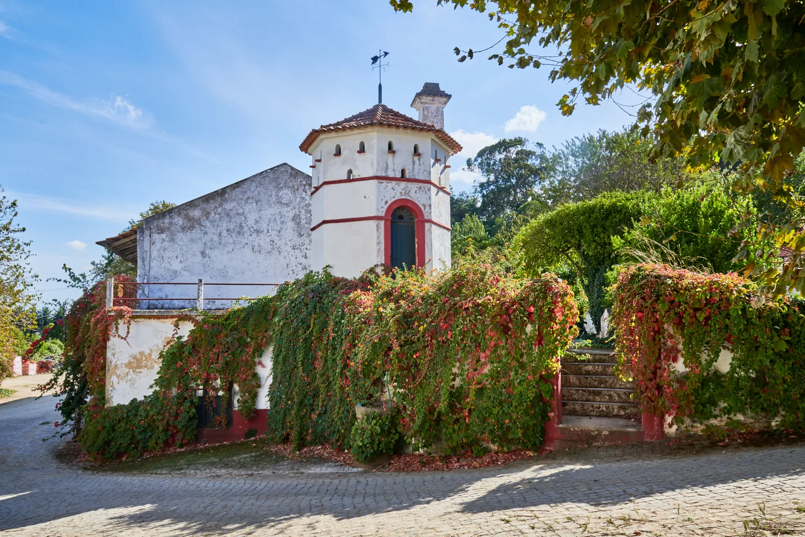 DFJ Vinhos — fotografia 13