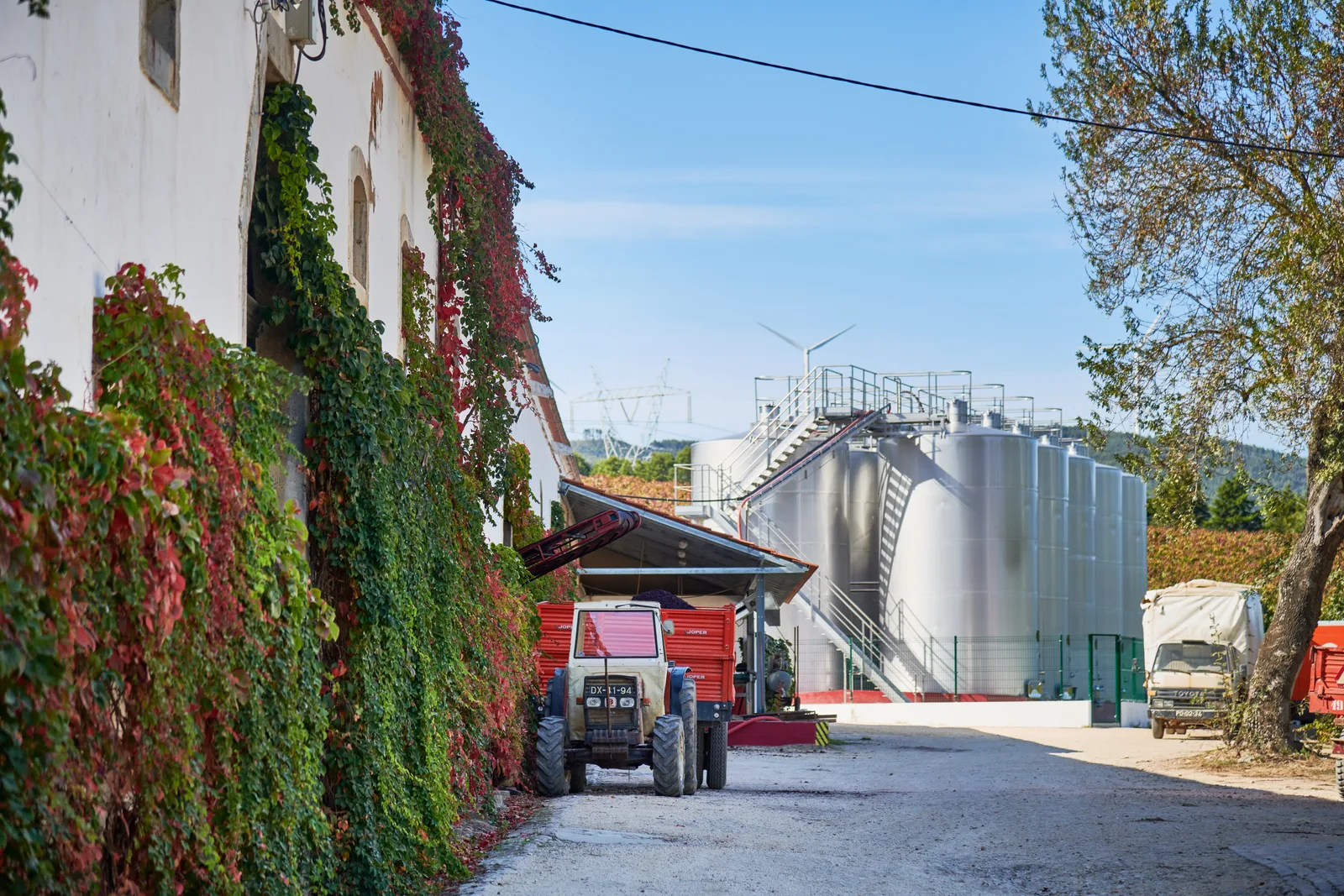 DFJ Vinhos — fotografia 14