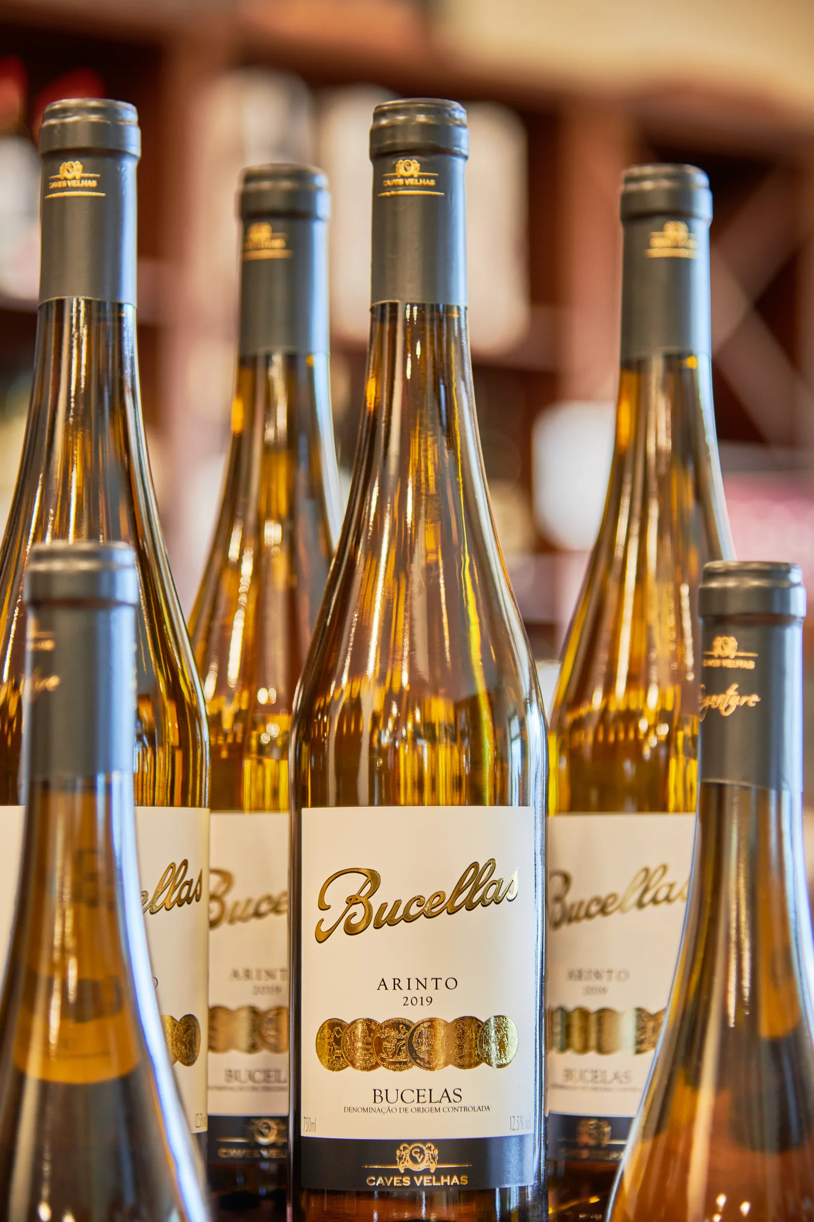 Enoport Wines — fotografia 8