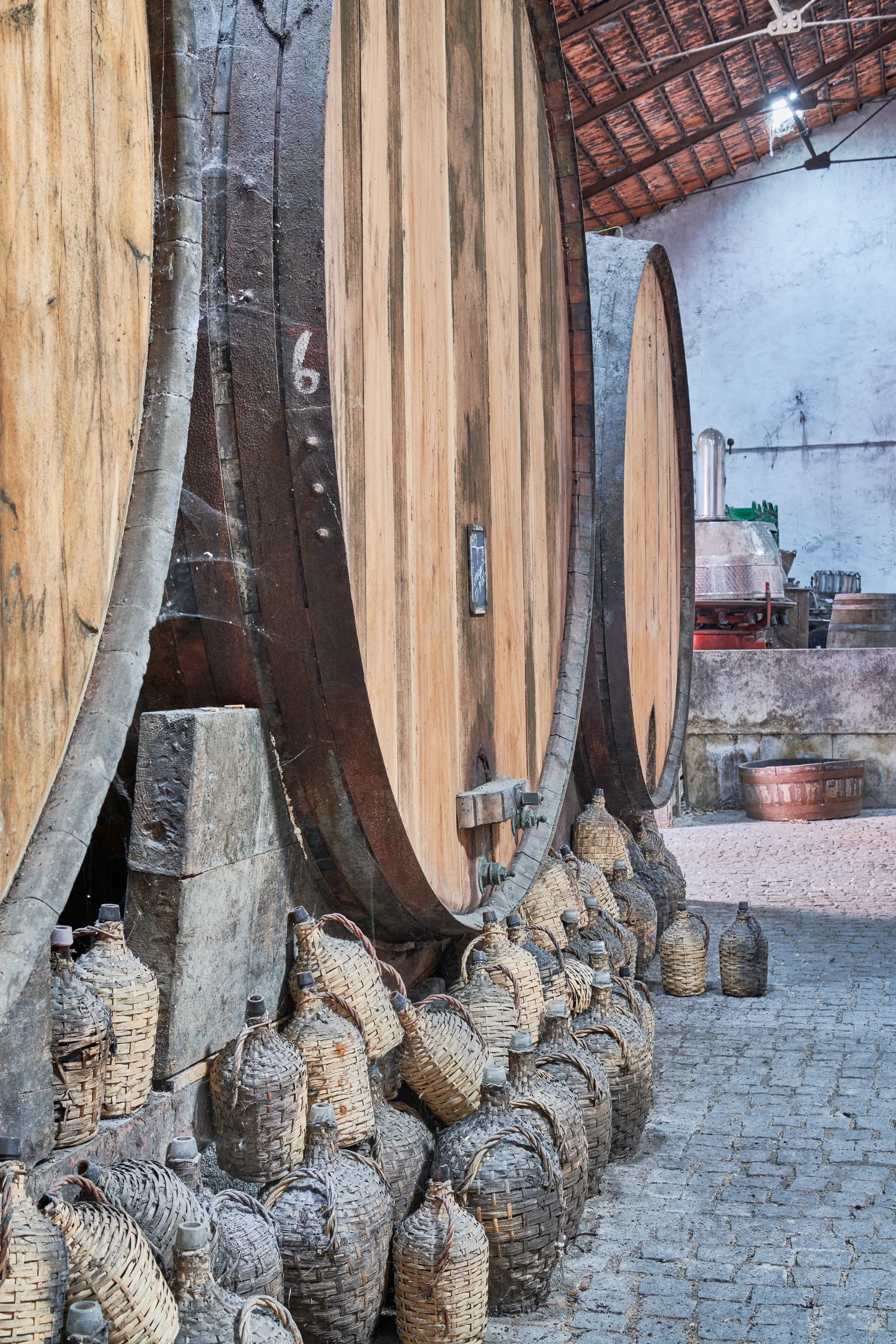 Enoport Wines — fotografia 9
