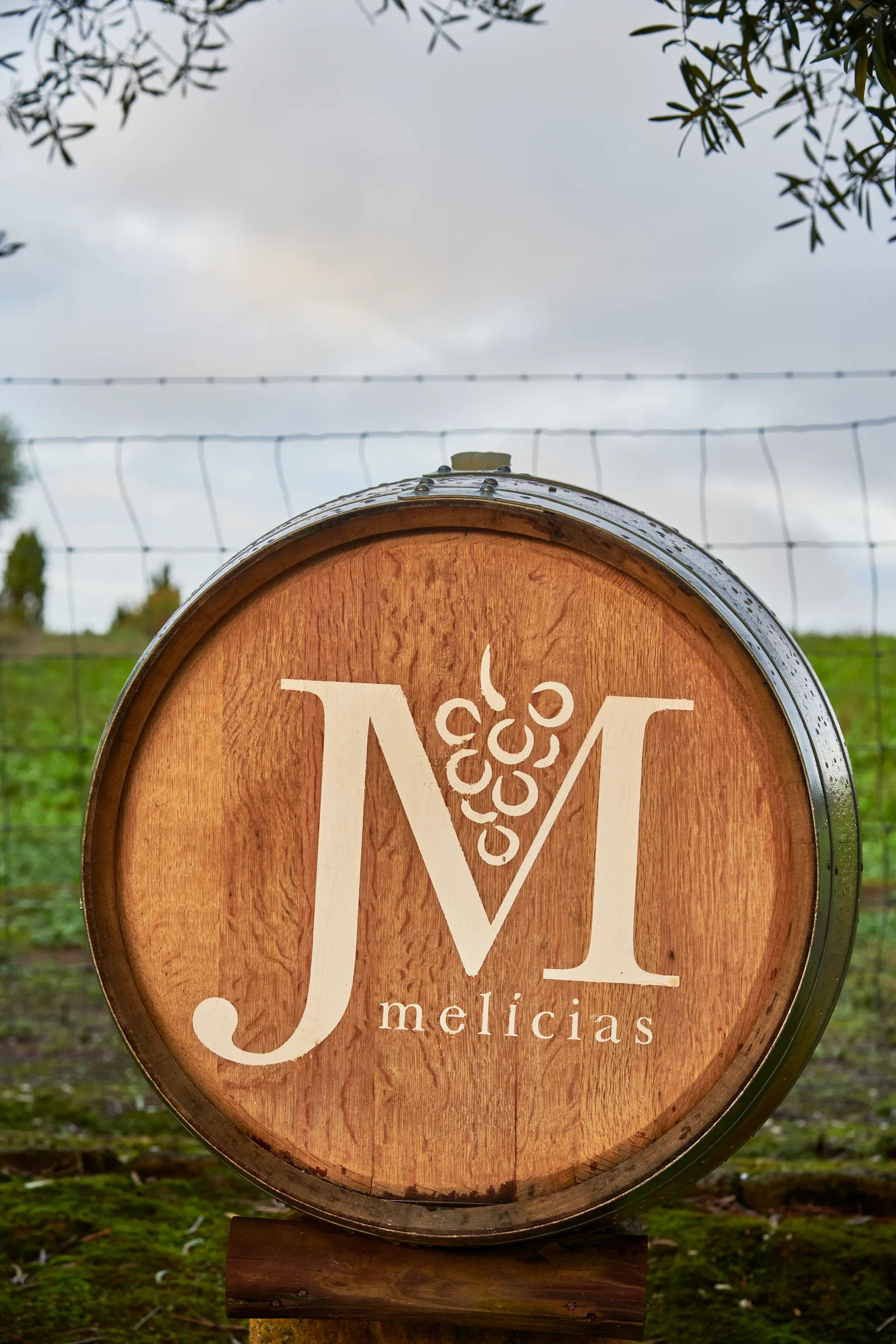 João Melícias — fotografia 5