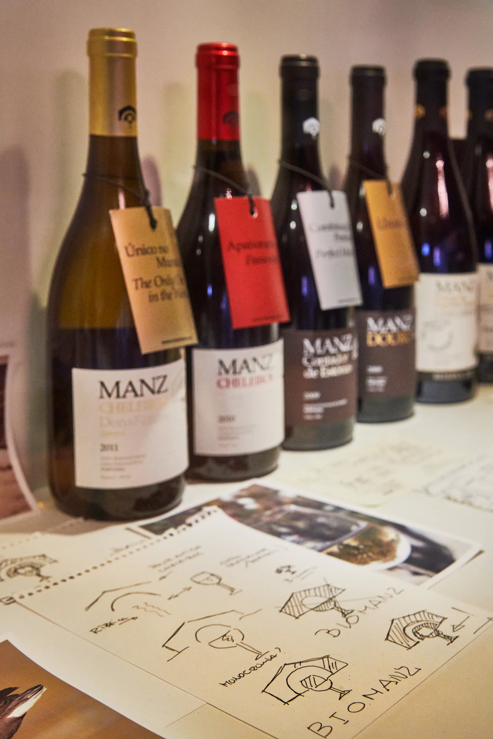 ManzWine — fotografia 7