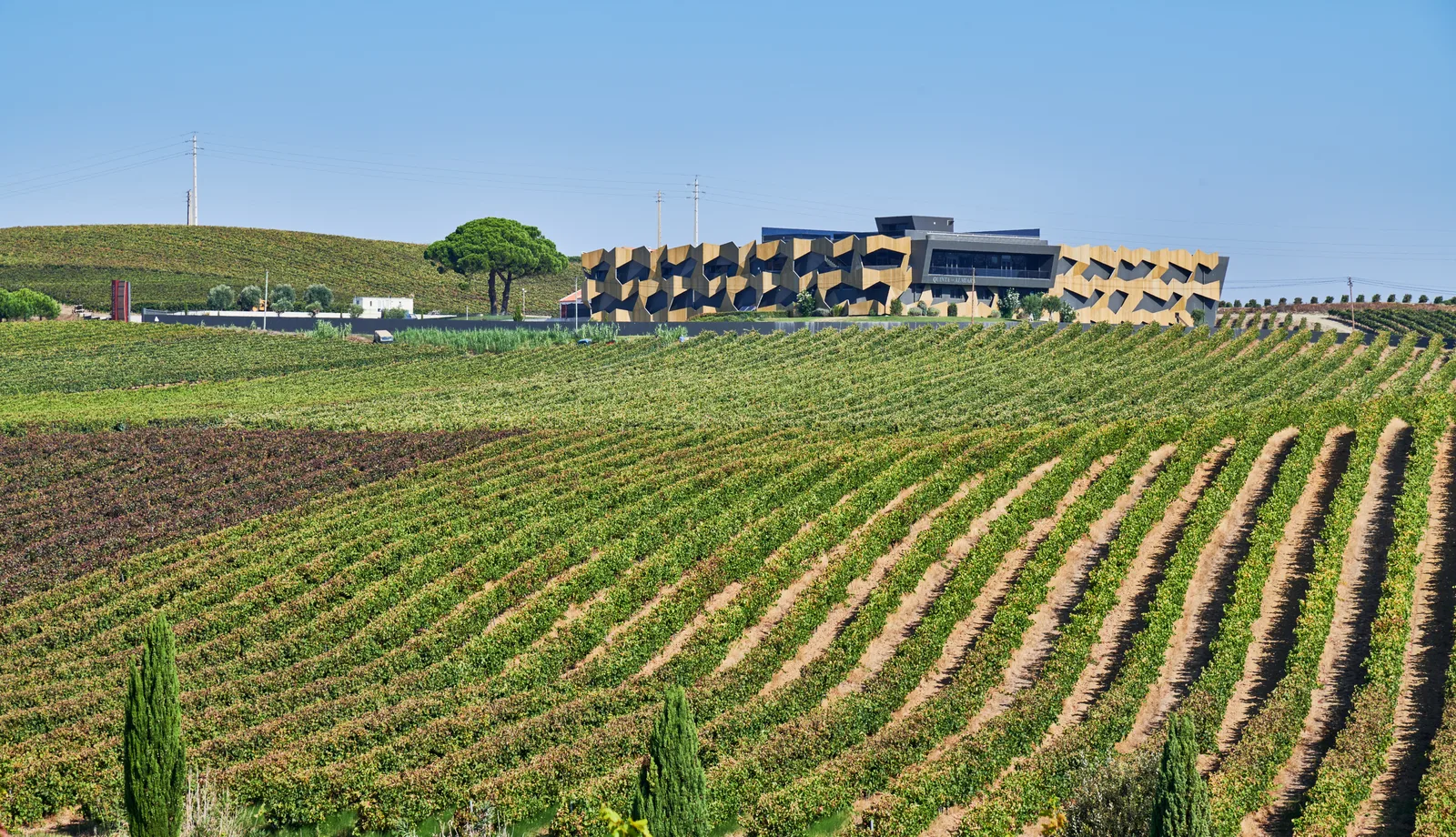 Quinta da Almiara — fotografia 6