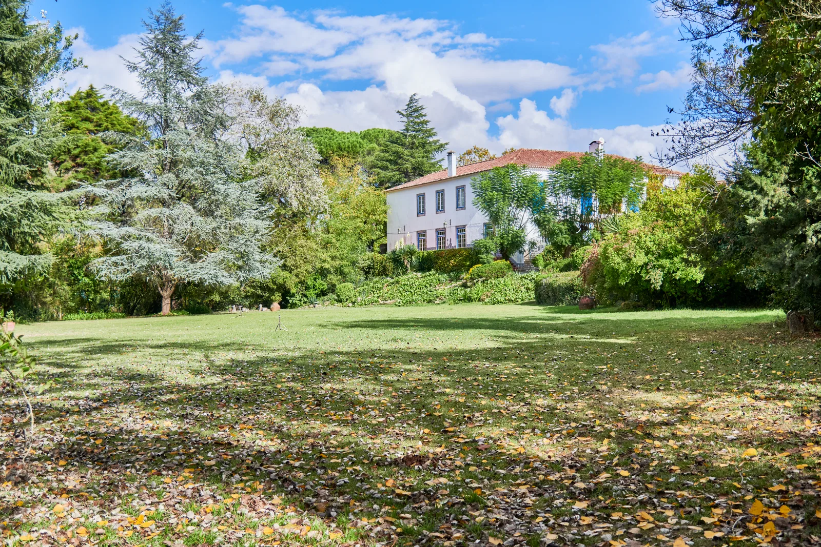 Quinta da Casaboa — fotografia 5