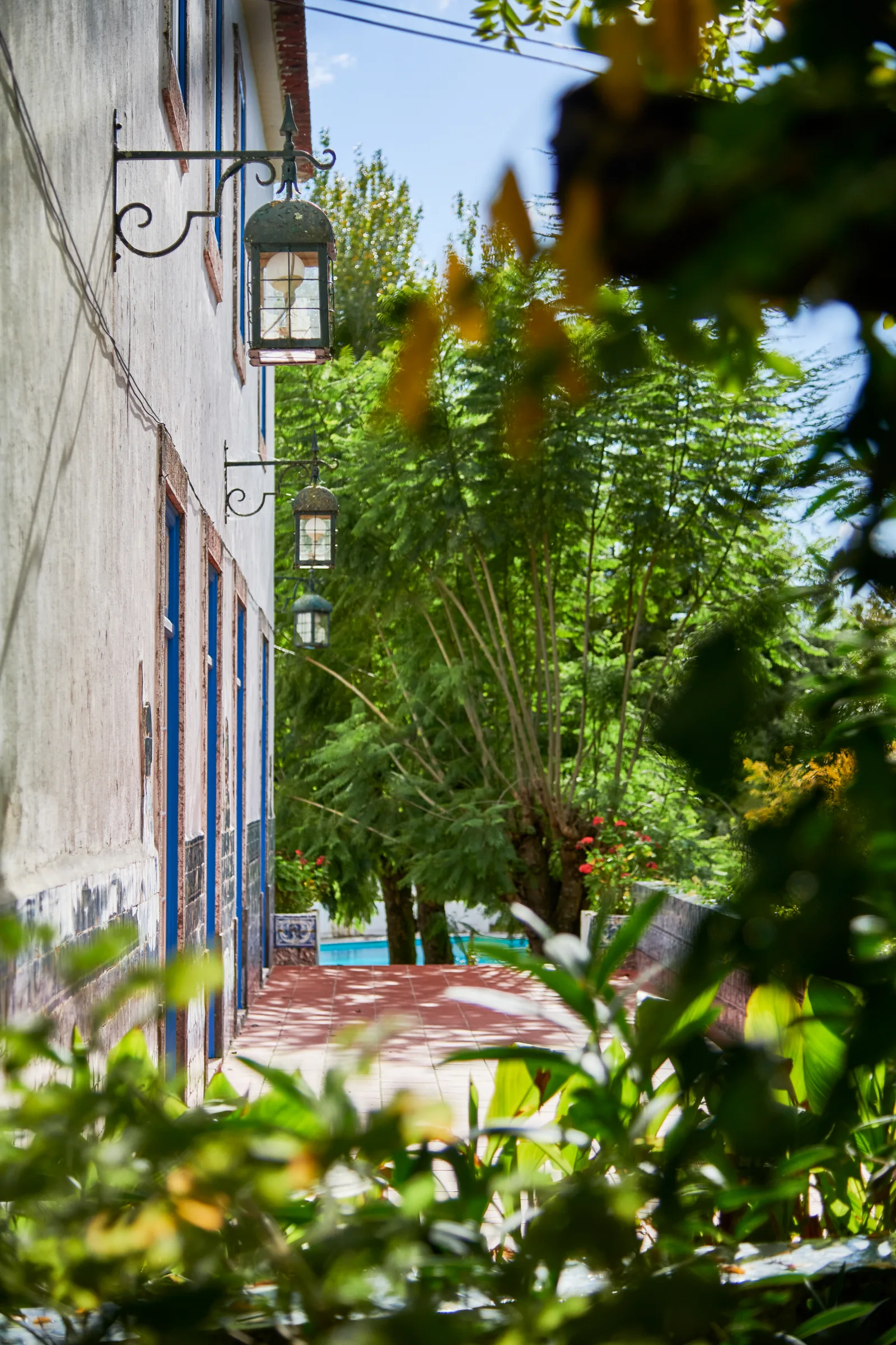 Quinta da Casaboa — fotografia 7