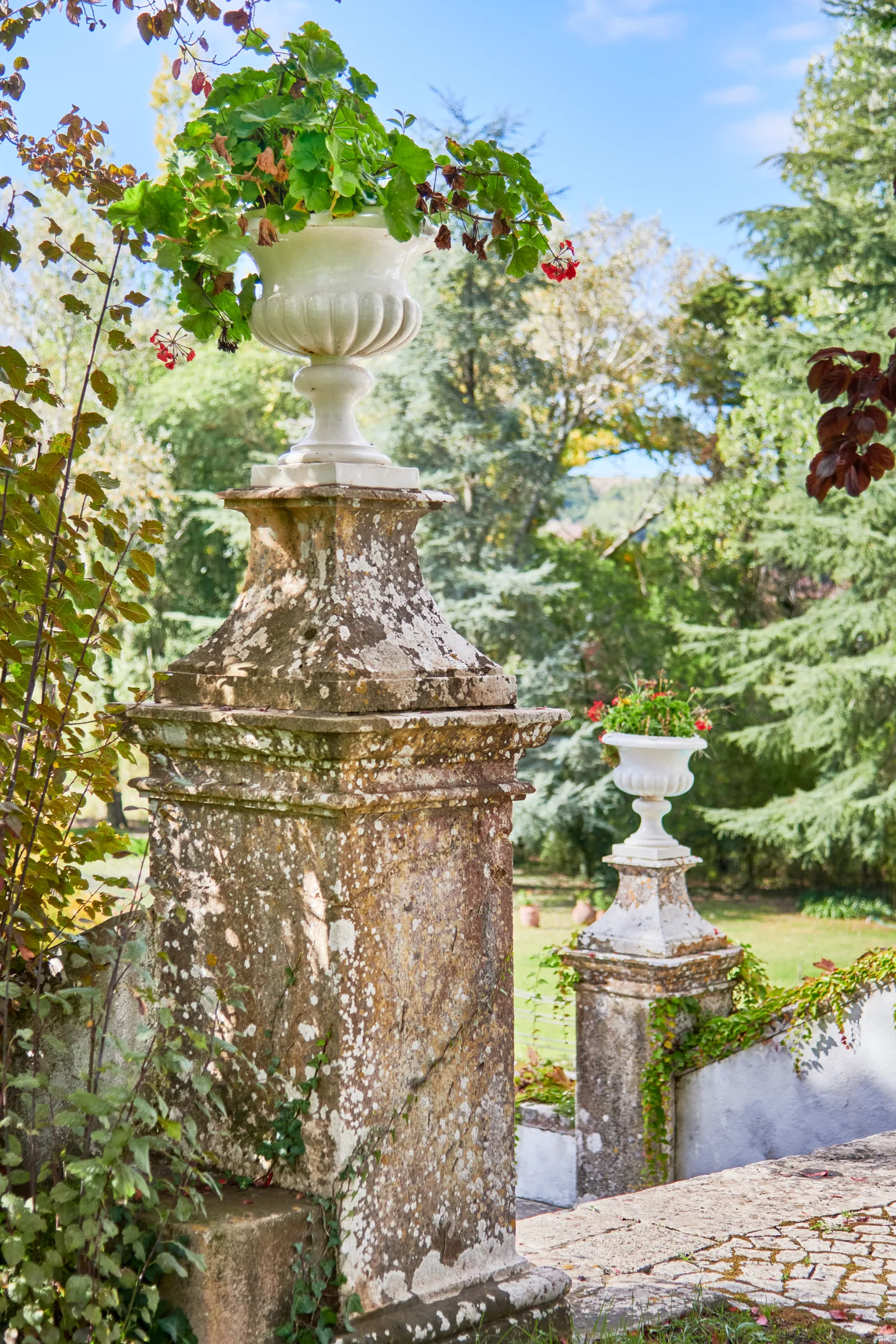 Quinta da Casaboa — fotografia 13