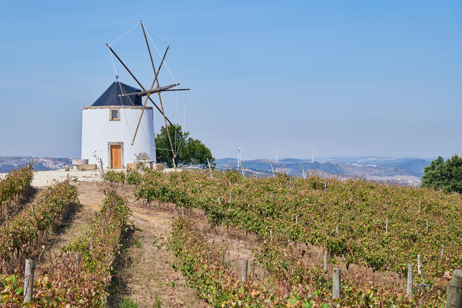 Quinta da Folgorosa
