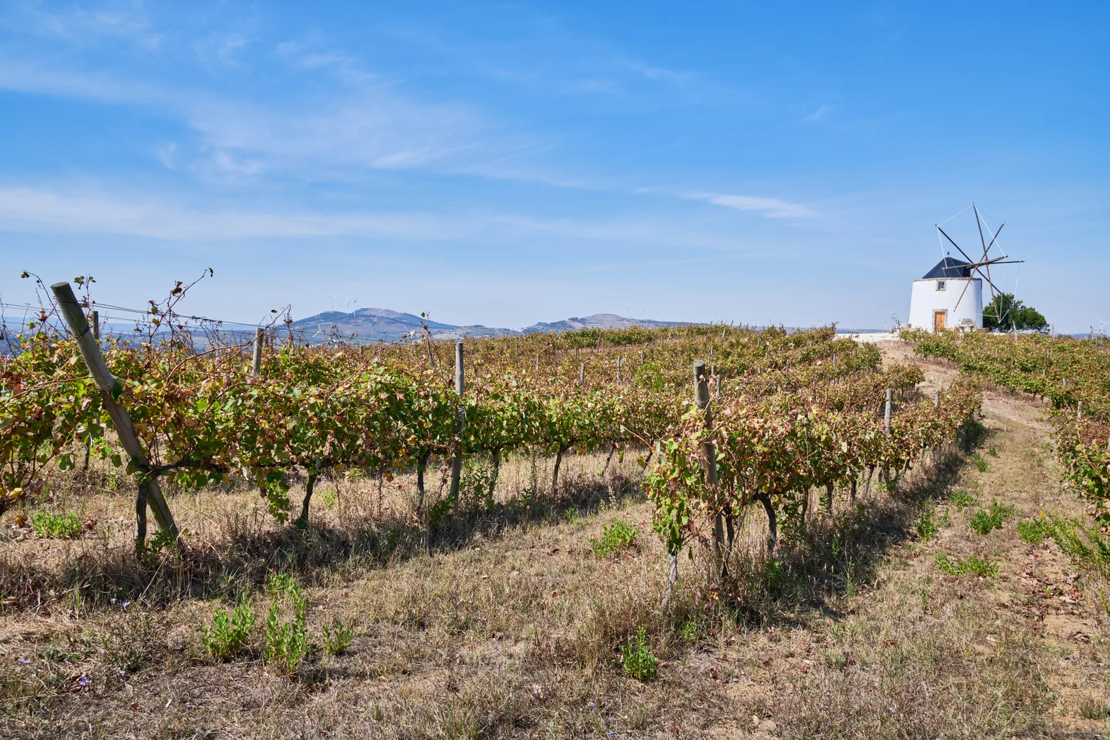 Quinta da Folgorosa — fotografia 9