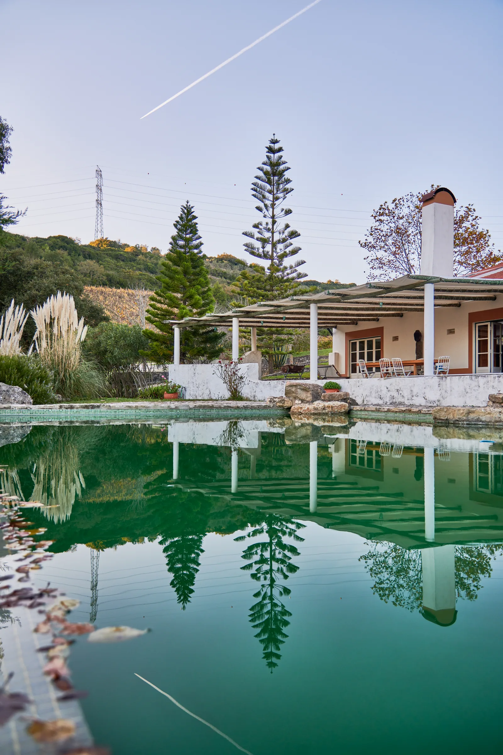 Quinta da Murta — fotografia 8