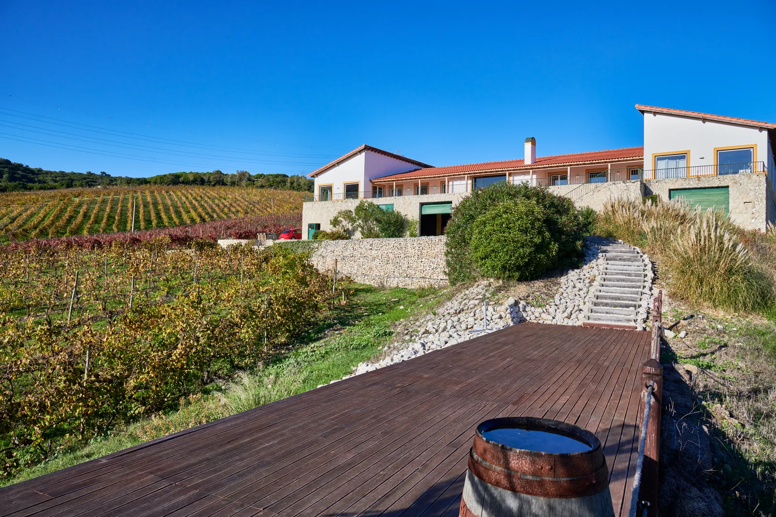 Quinta da Murta — fotografia 10