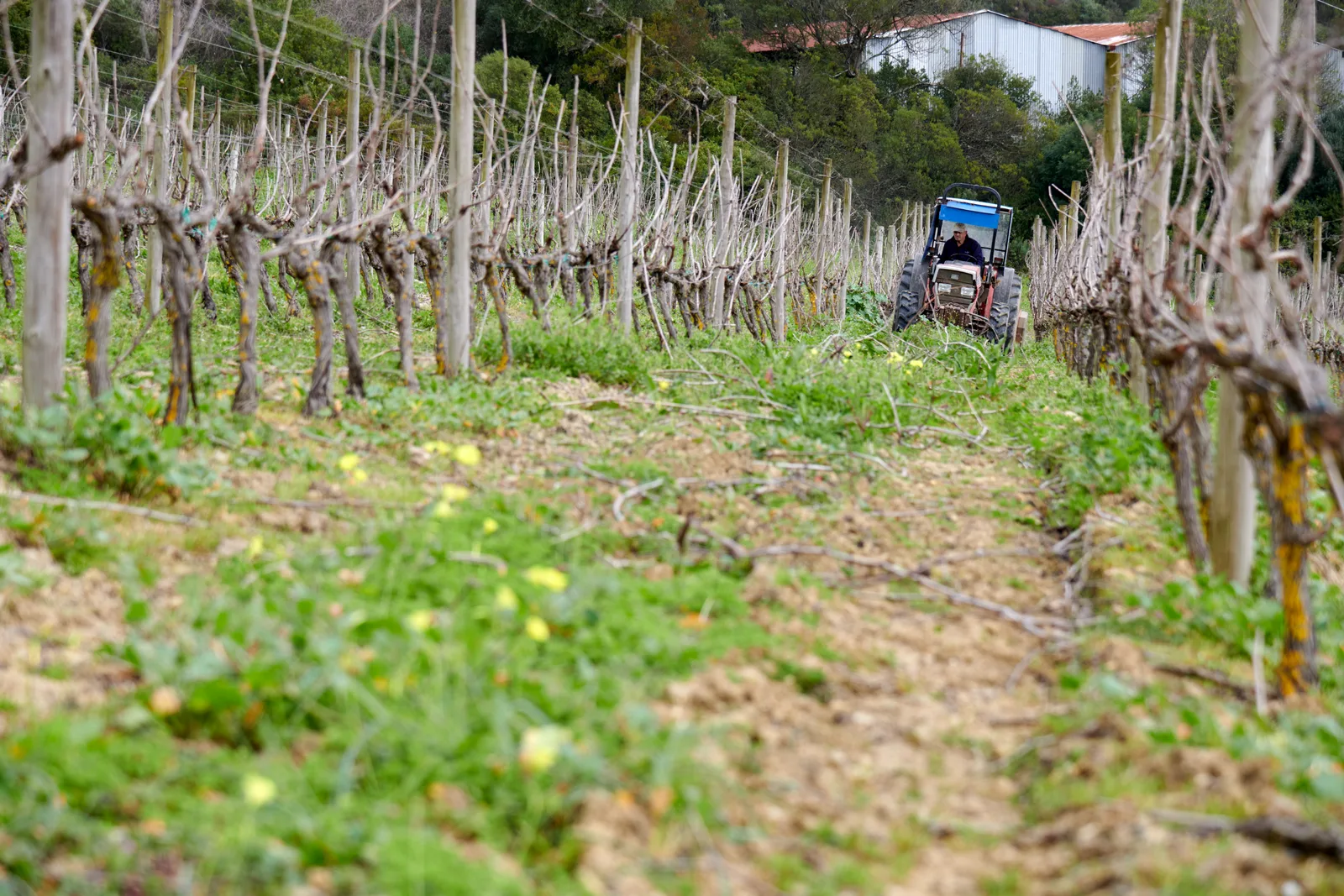 Quinta da Romeira