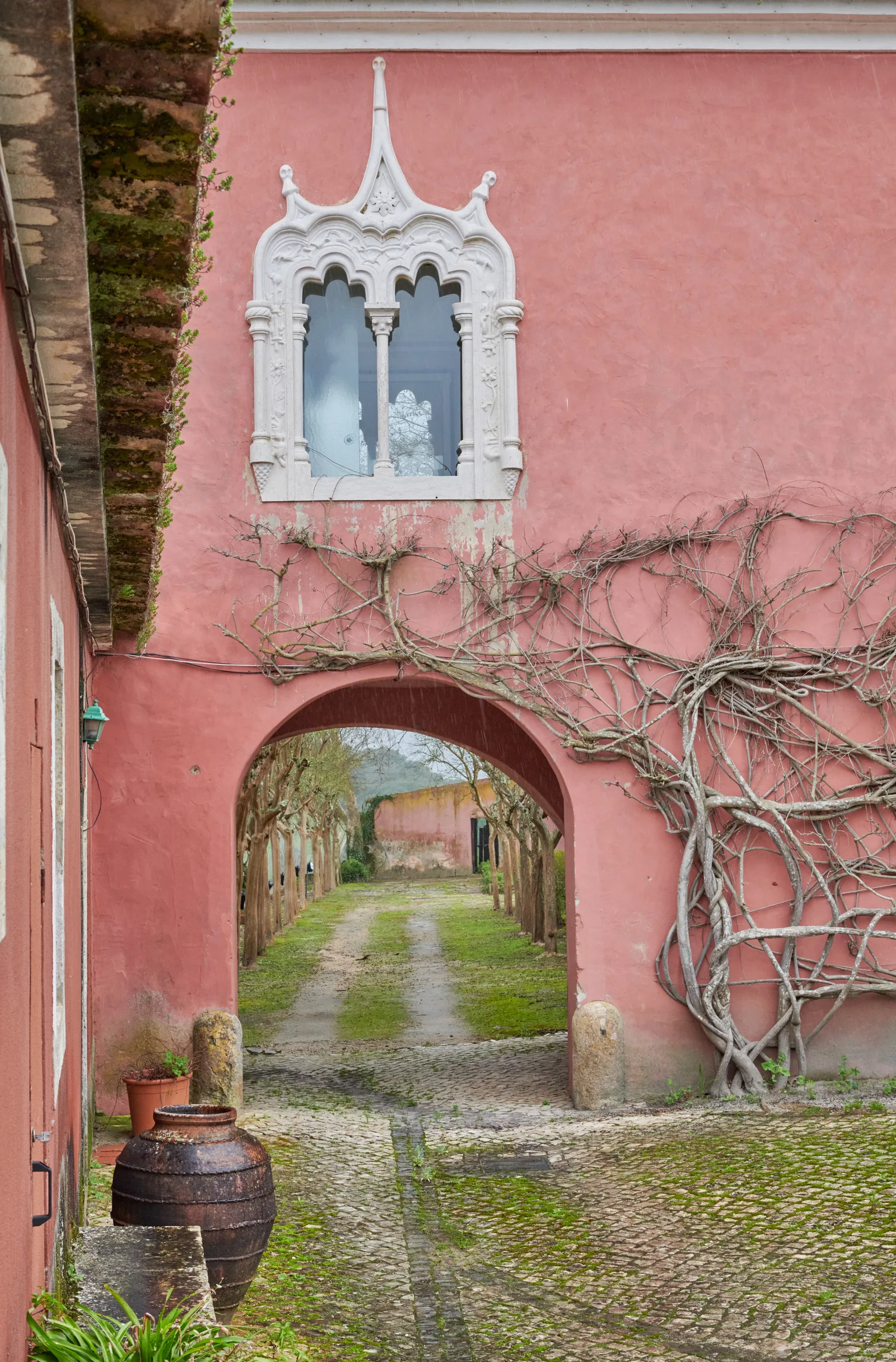 Quinta da Romeira — fotografia 13