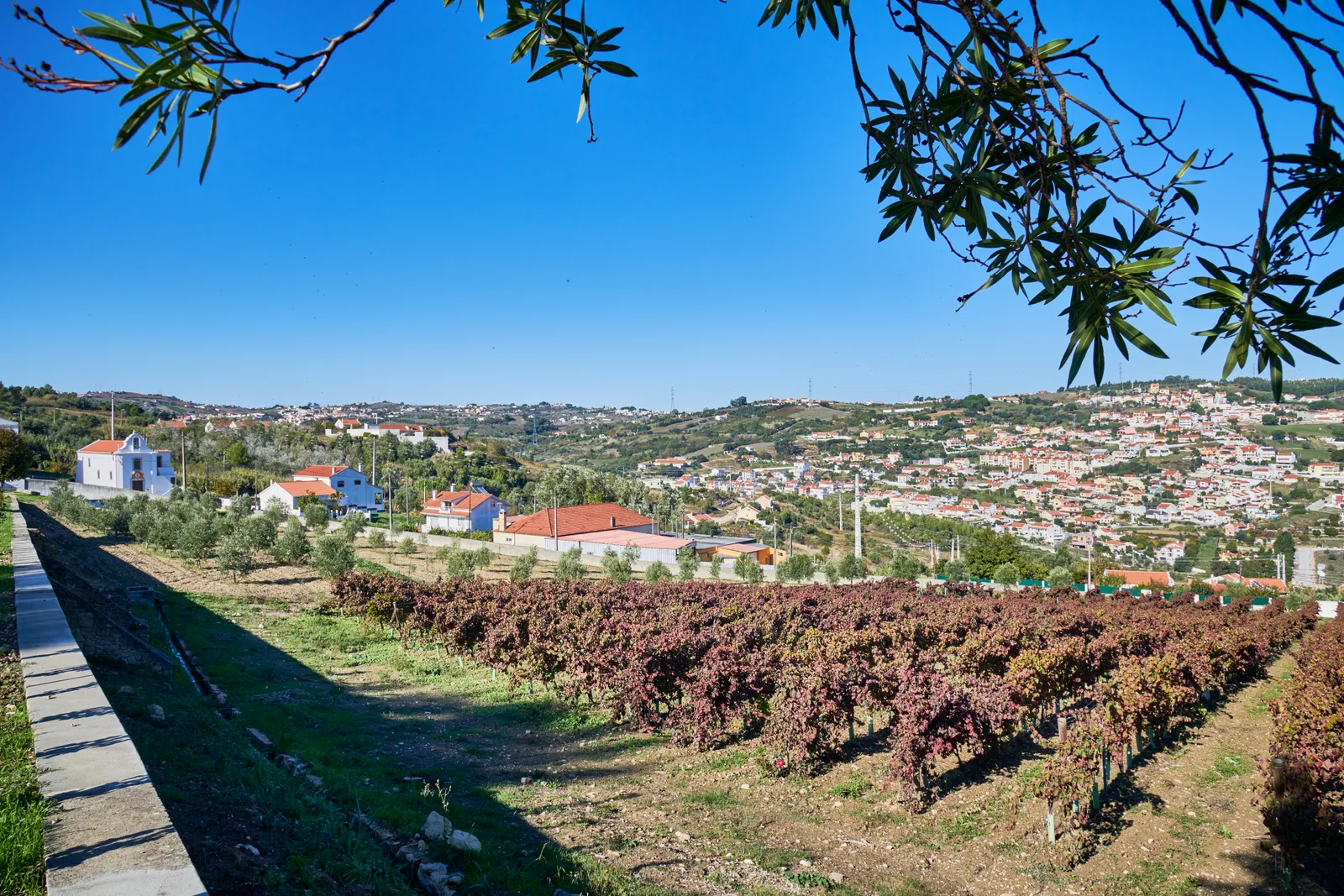 Quinta da Subserra — fotografia 4