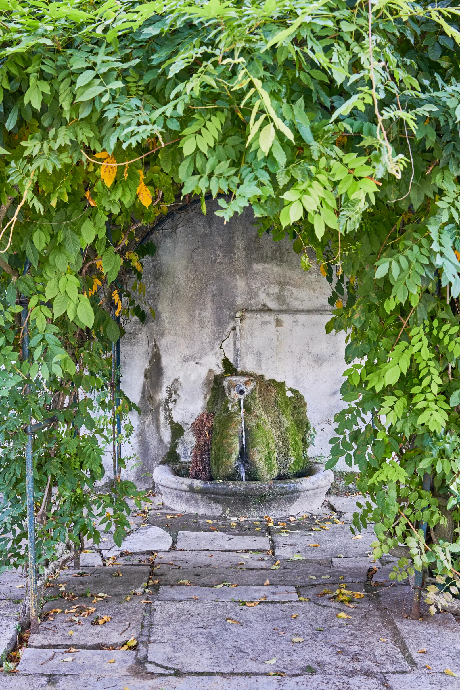 Quinta da Subserra — fotografia 11