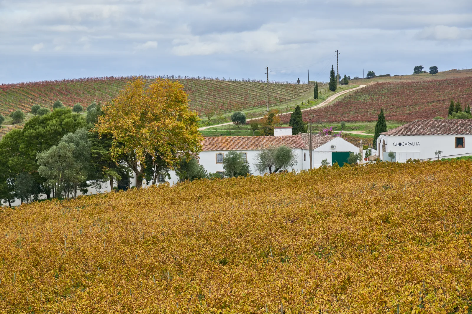 Quinta de Chocapalha — fotografia 6