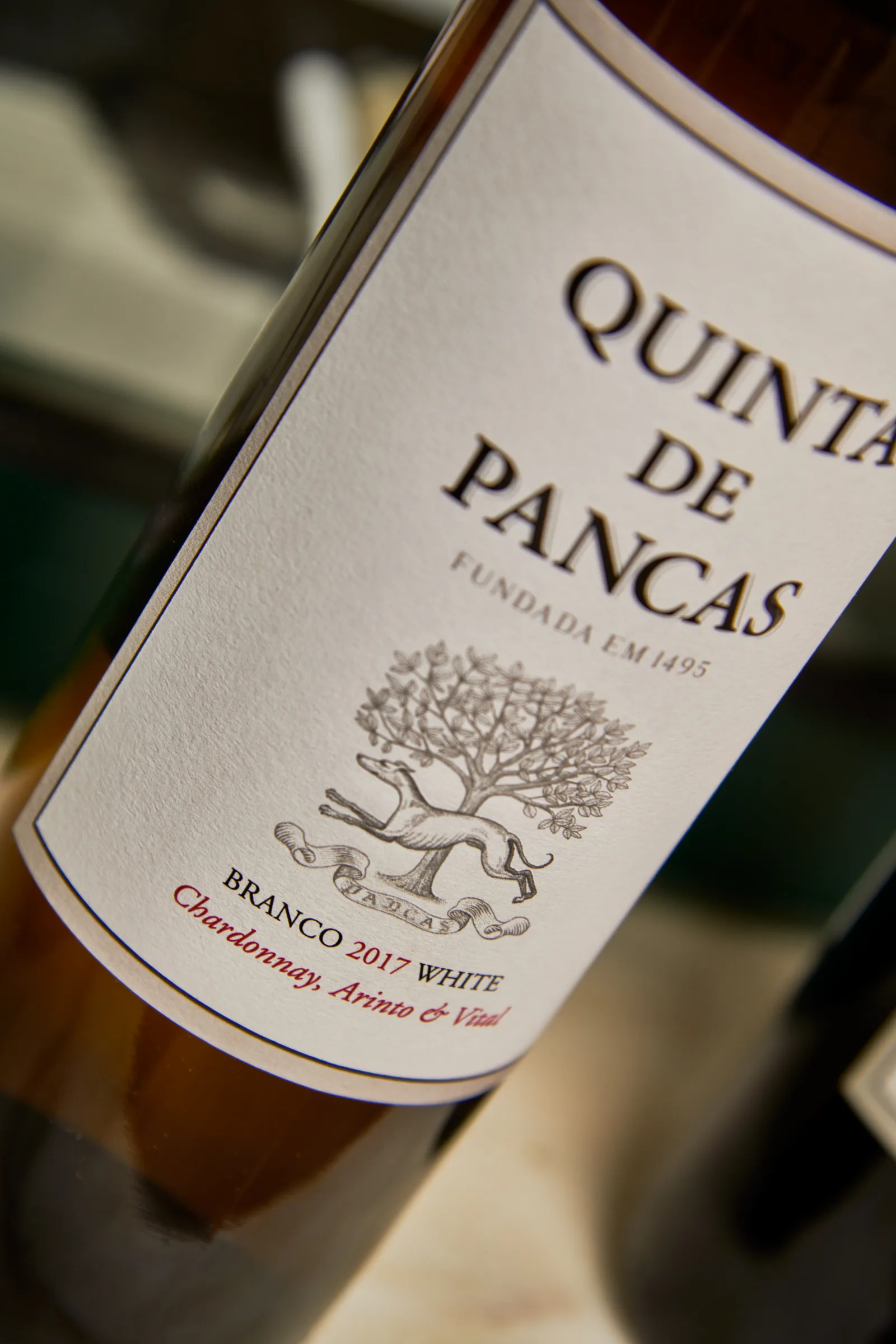 Quinta de Pancas — fotografia 3