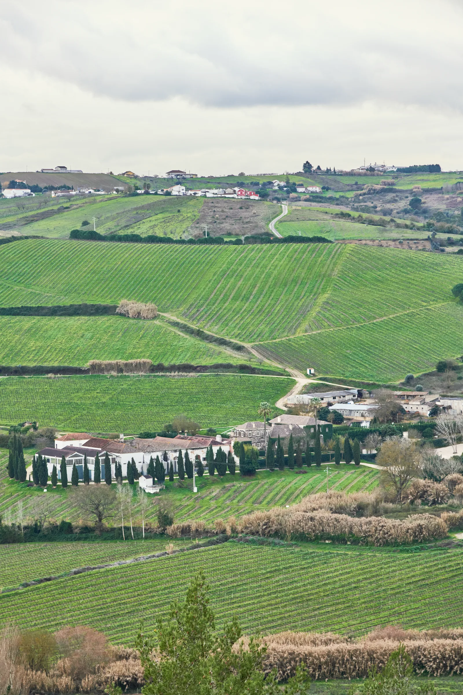 Quinta de Pancas — fotografia 8