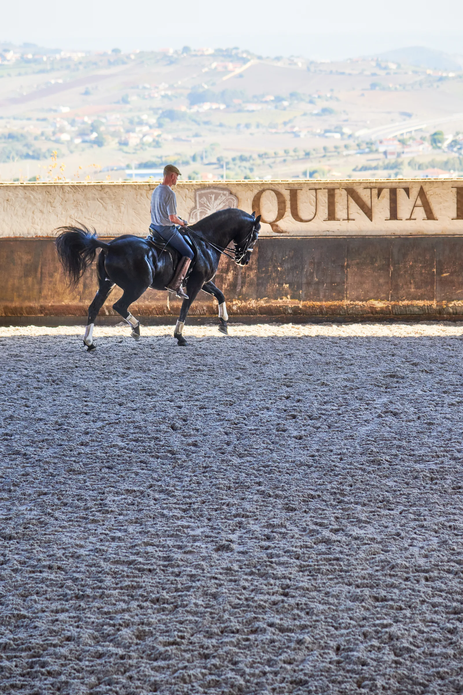 Quinta de S. Sebastião — fotografia 4