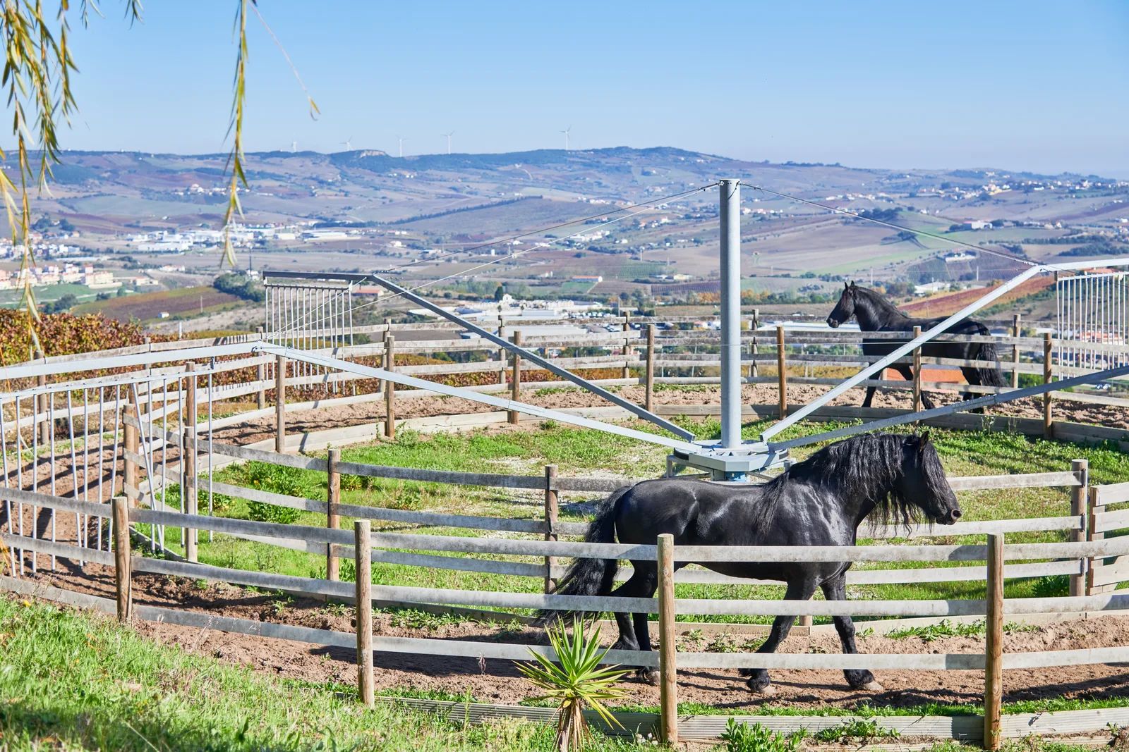 Quinta de S. Sebastião — fotografia 10