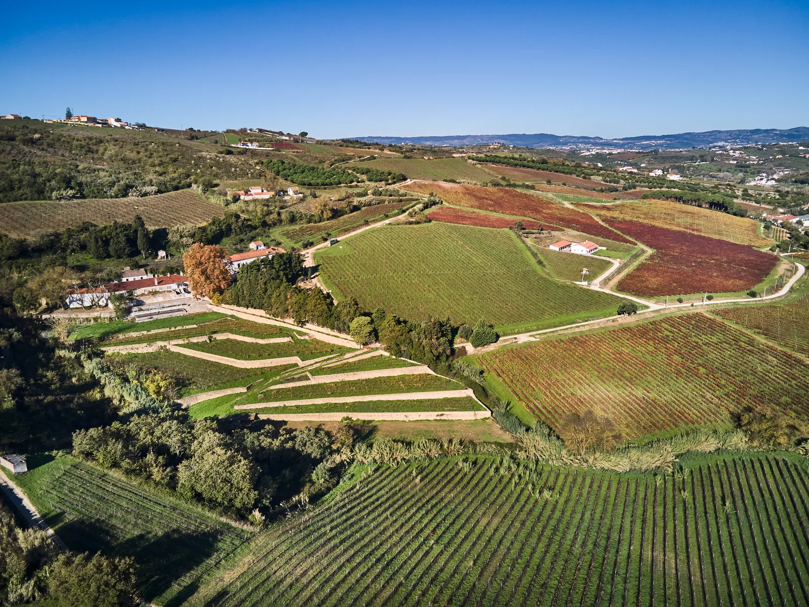Quinta de São Bartolomeu — fotografia 8