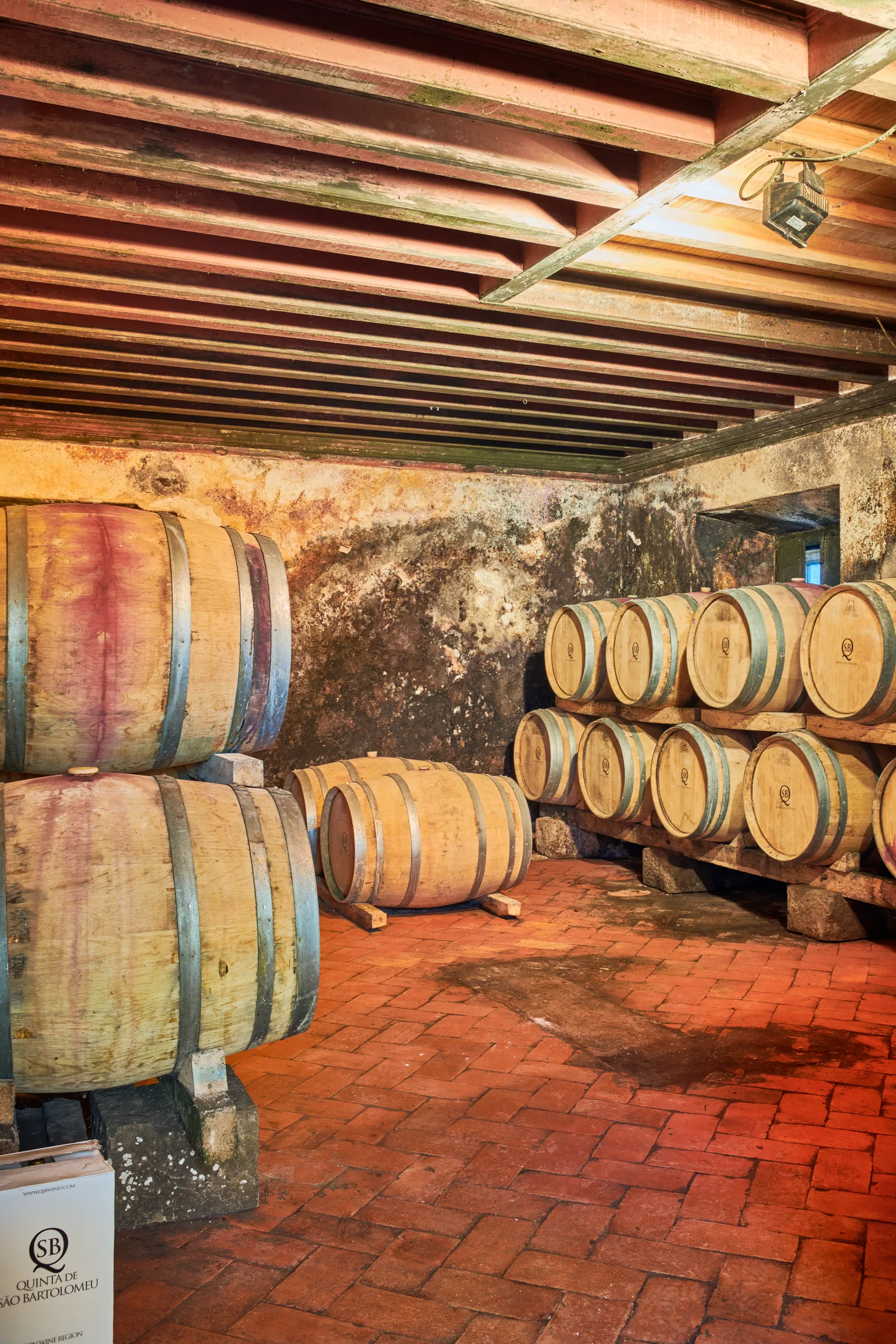 Quinta de São Bartolomeu — fotografia 9