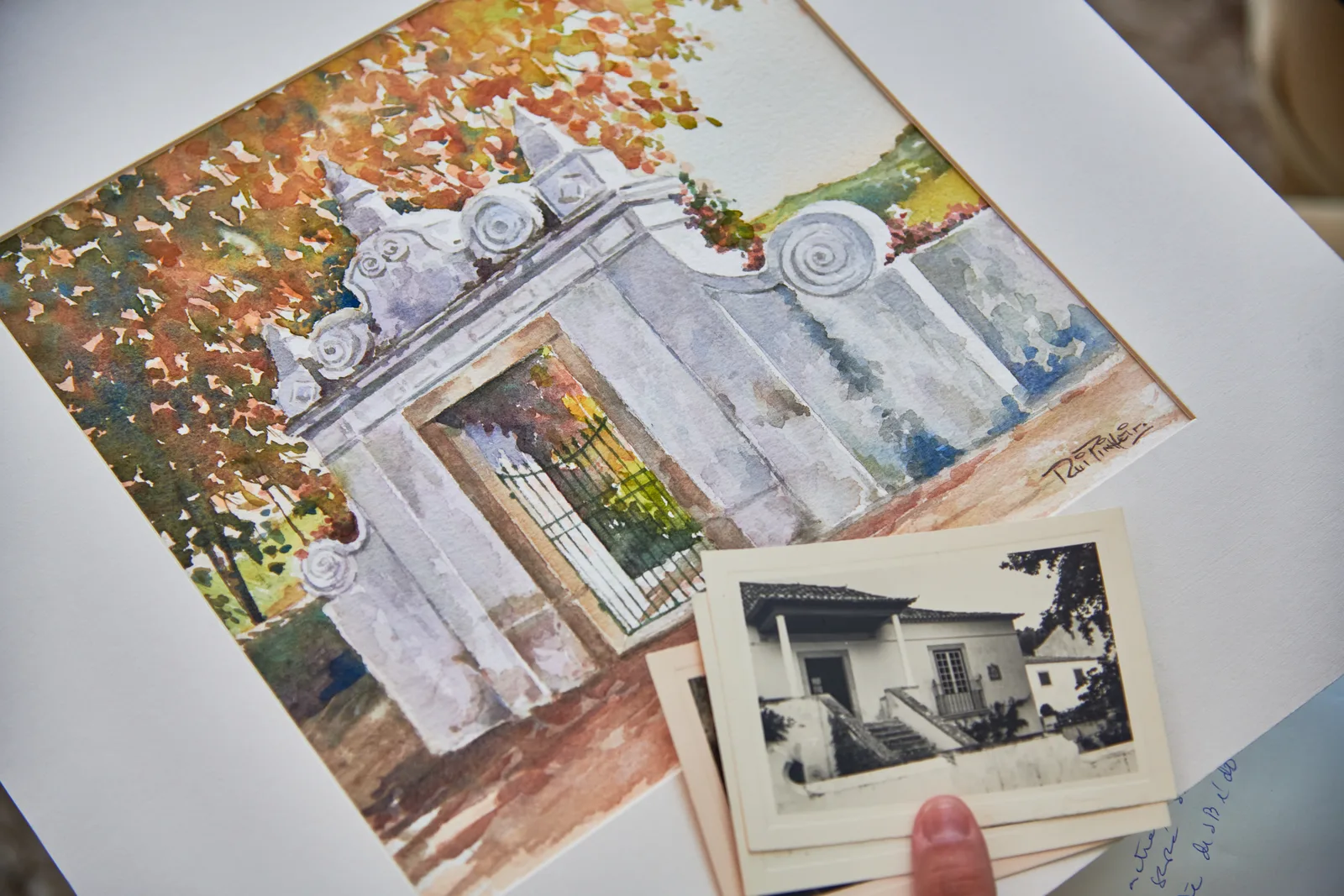 Quinta de São Bartolomeu — fotografia 10