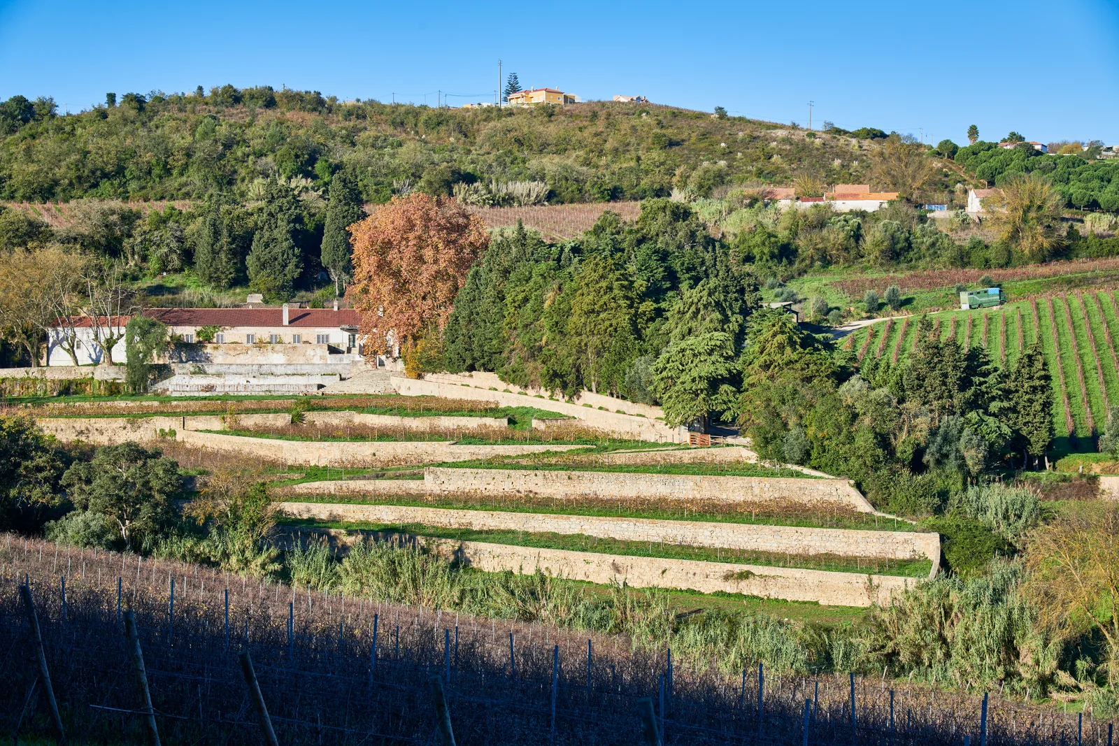 Quinta de São Bartolomeu — fotografia 13
