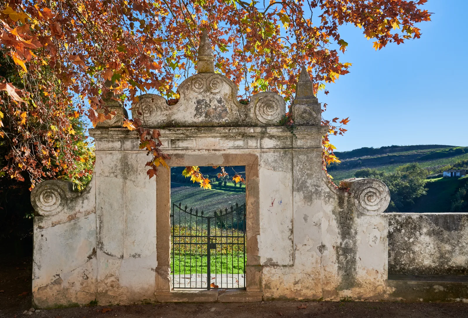Quinta de São Bartolomeu — fotografia 14