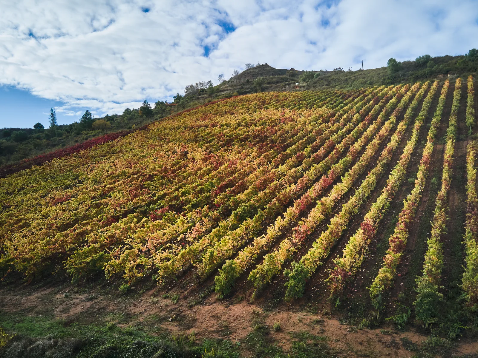 Quinta de Vale Mourisco — fotografia 7
