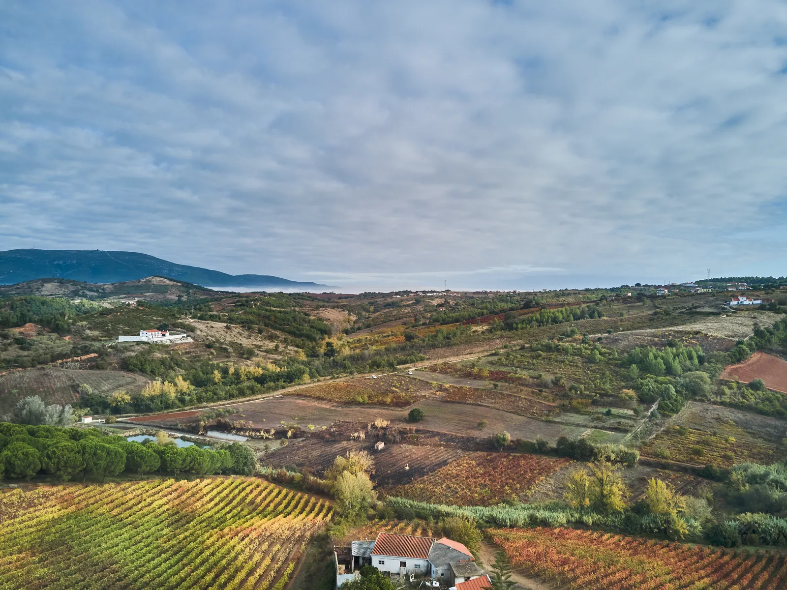 Quinta de Vale Mourisco — fotografia 8