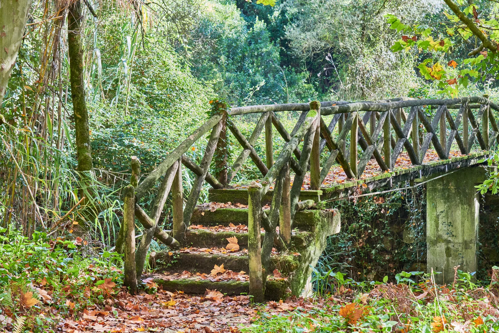 Quinta do Avelar — fotografia 5