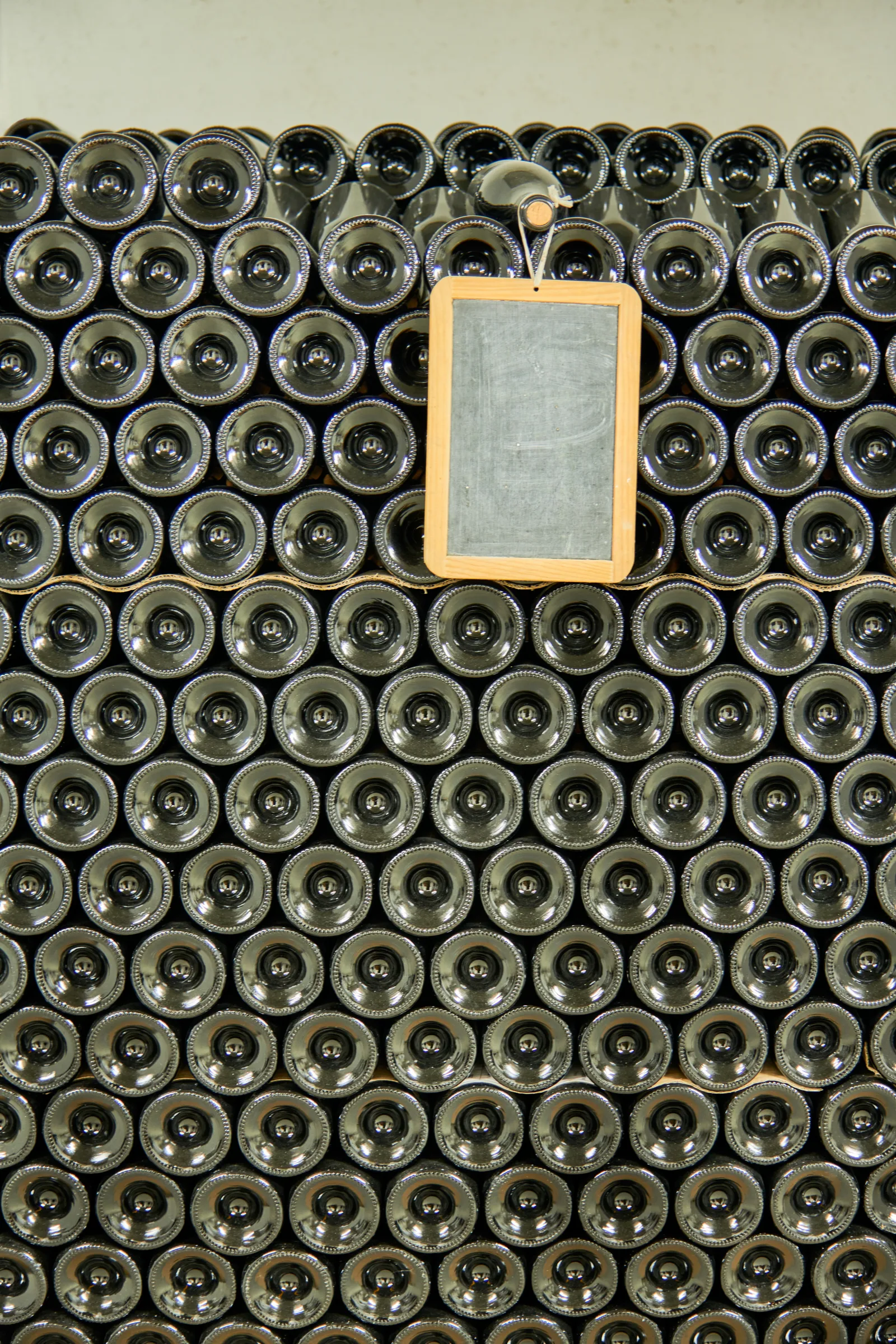 Quinta do Carneiro — fotografia 4