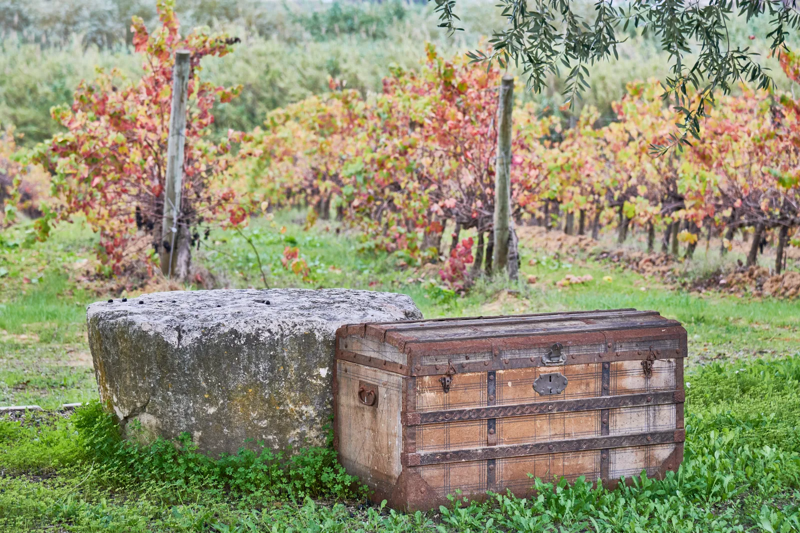 Quinta do Carneiro — fotografia 6