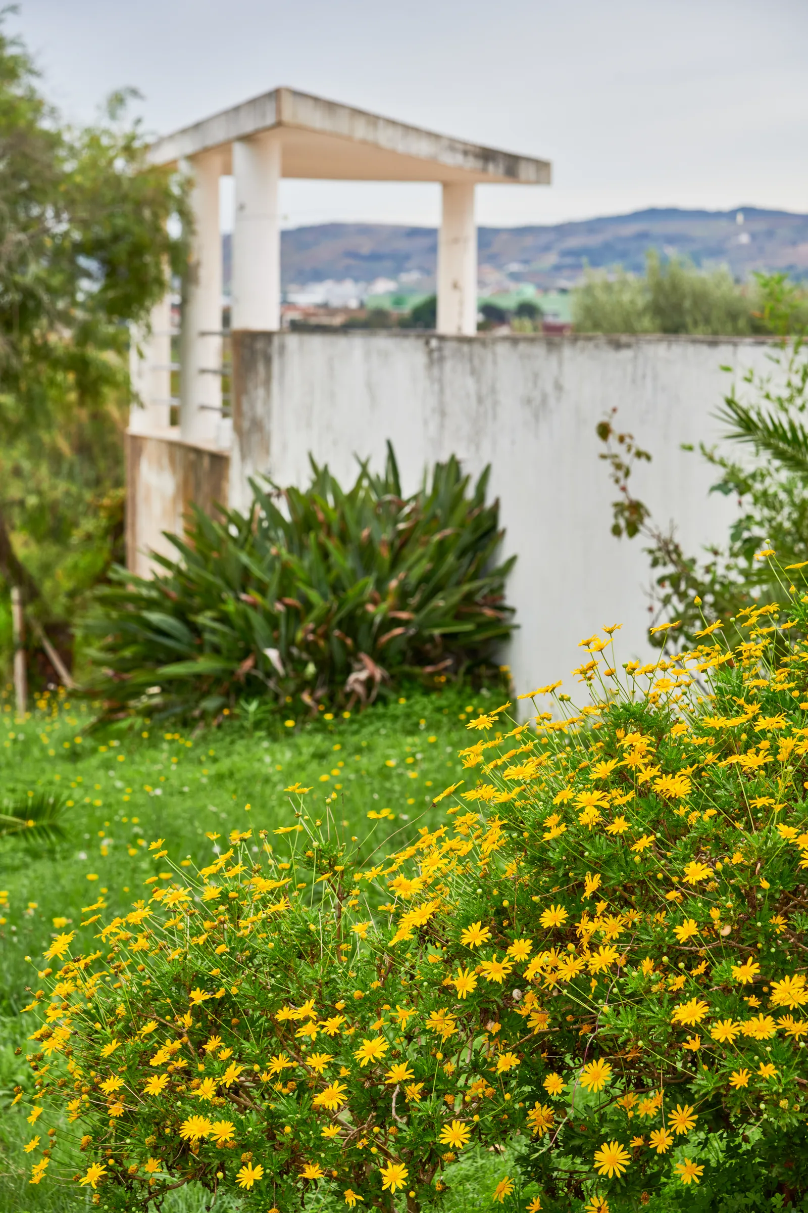 Quinta do Carneiro — fotografia 7