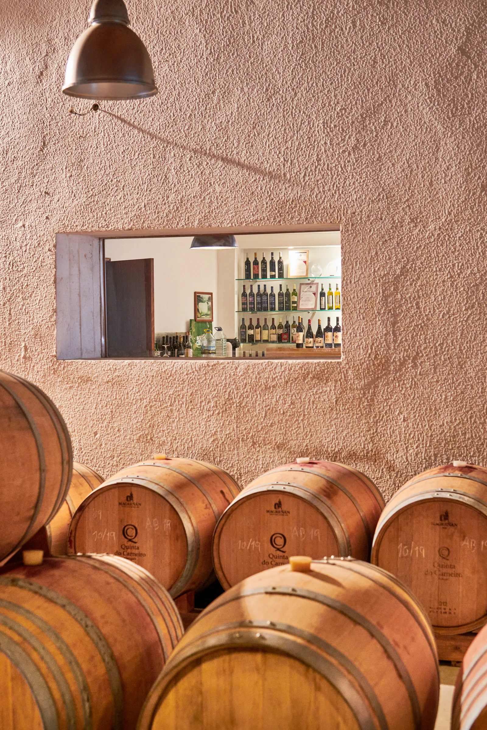 Quinta do Carneiro — fotografia 9