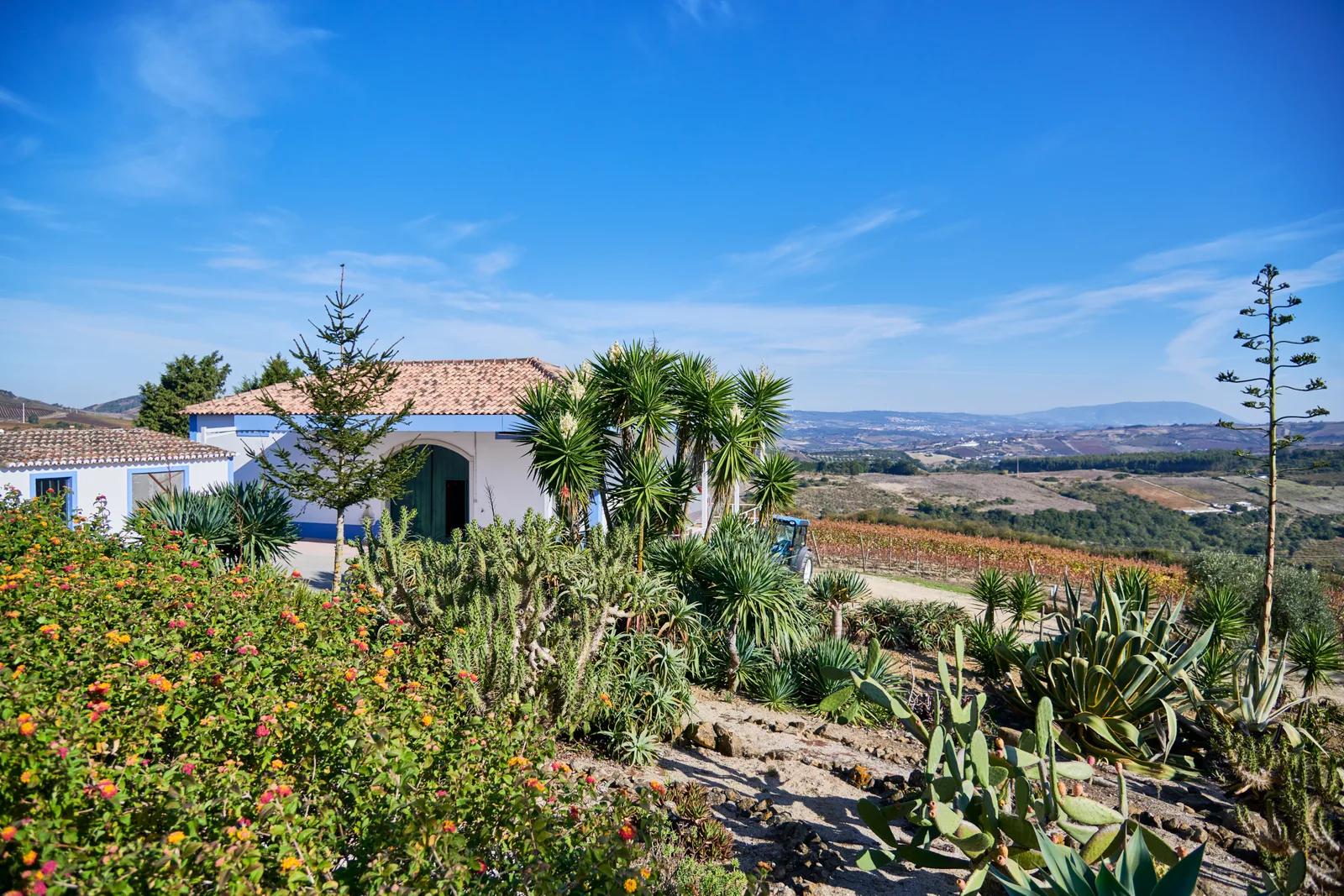 Quinta do Cerrado da Porta — fotografia 8