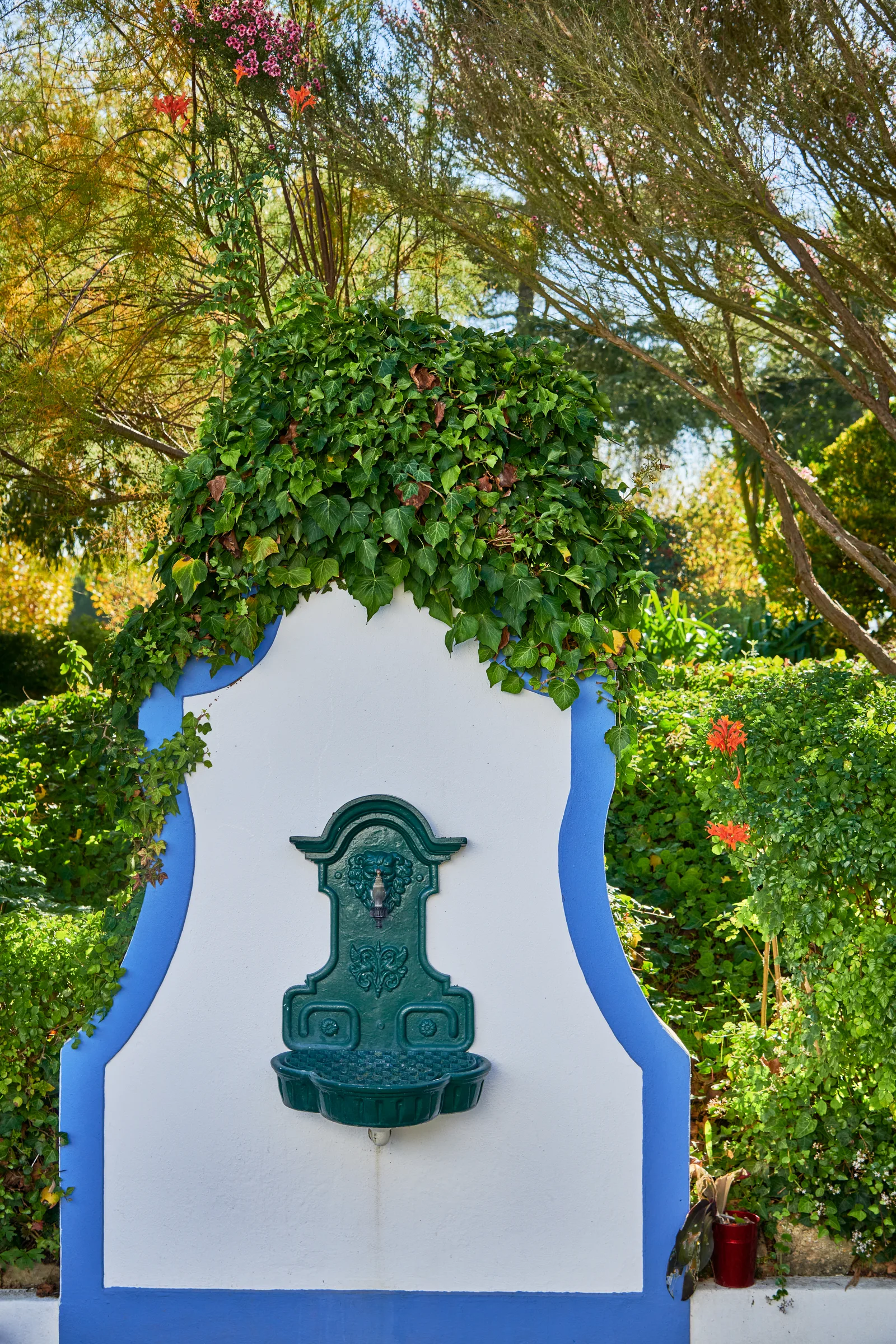Quinta do Cerrado da Porta — fotografia 13