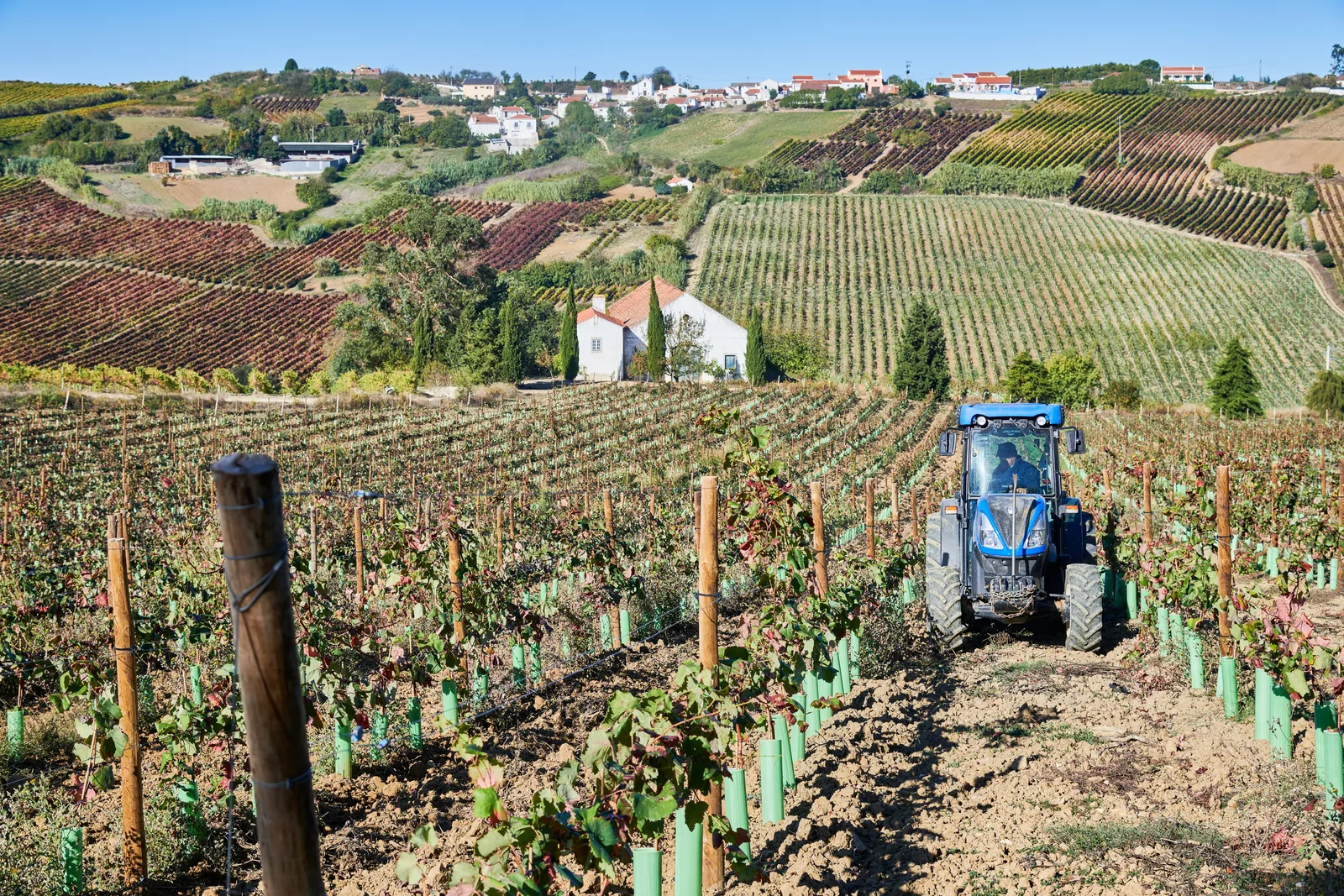 Quinta do Conde — fotografia 4
