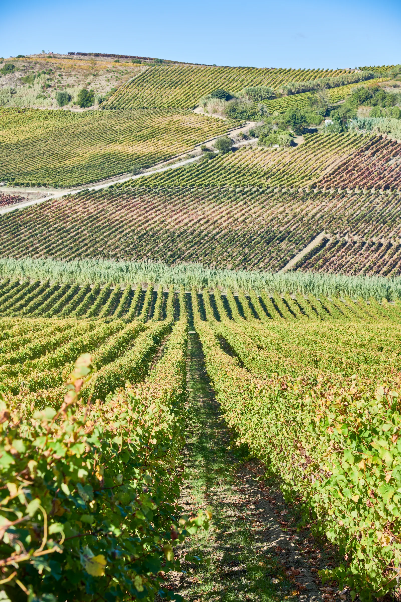 Quinta do Conde — fotografia 8