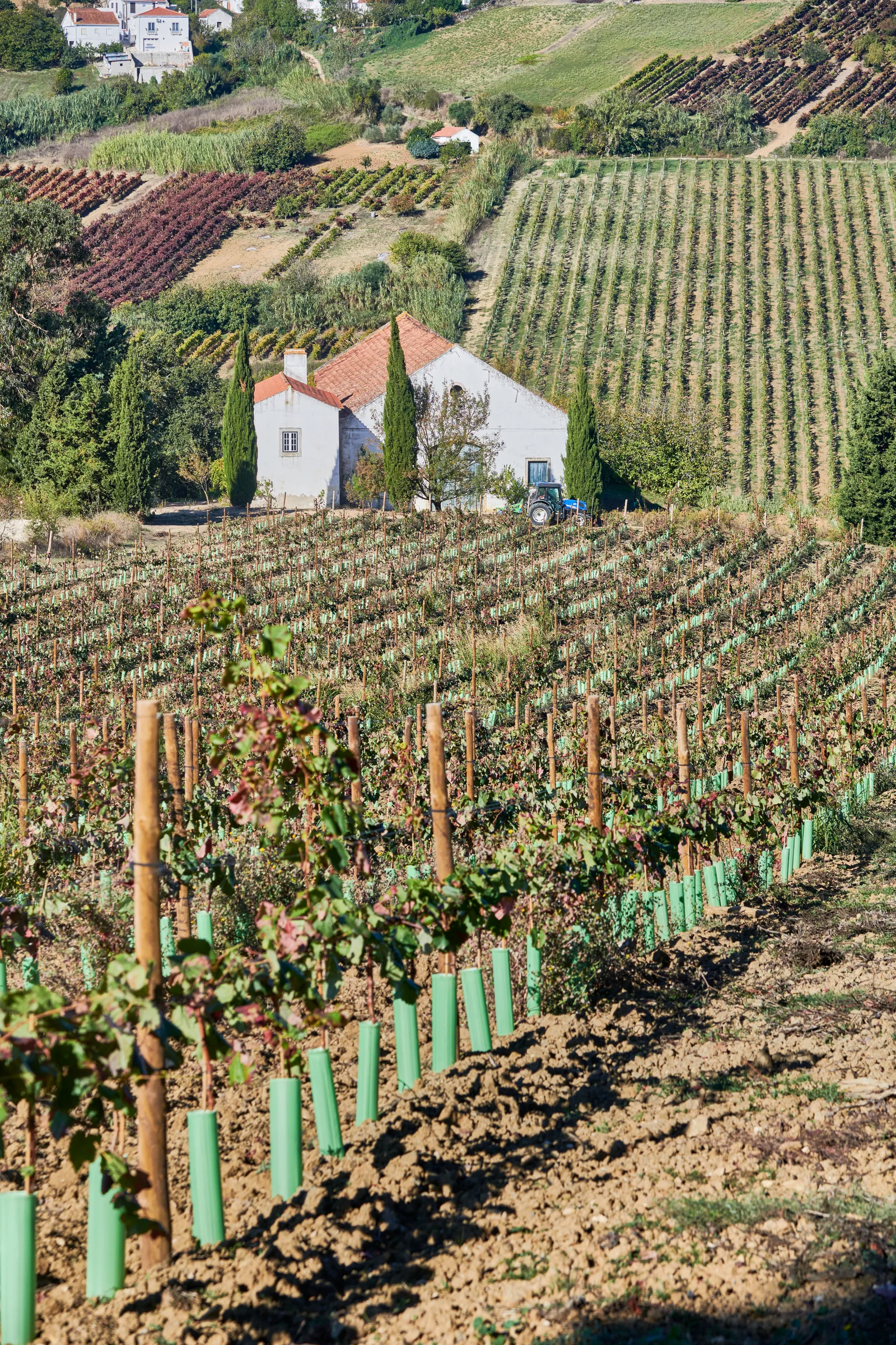 Quinta do Conde — fotografia 9