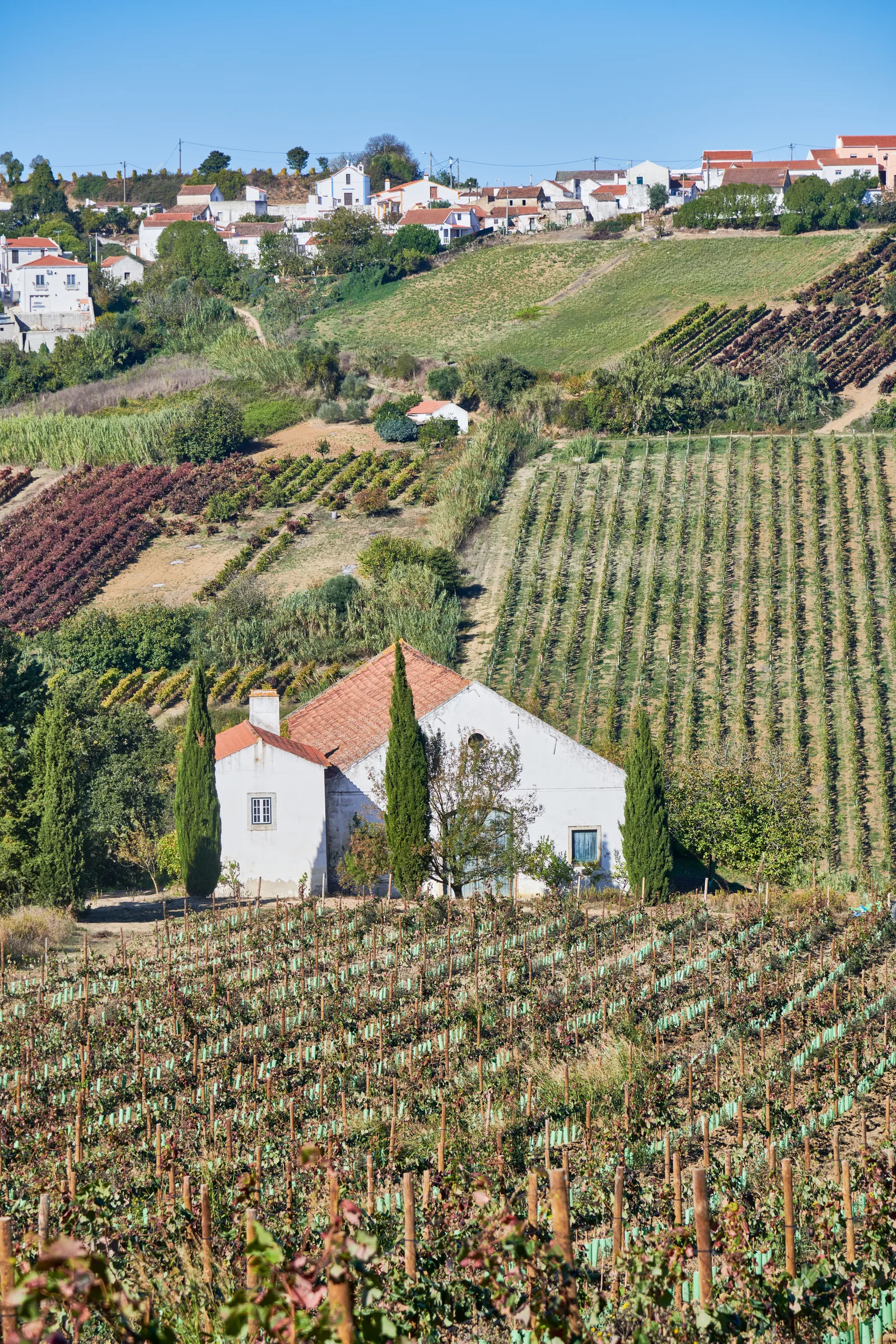 Quinta do Conde — fotografia 10