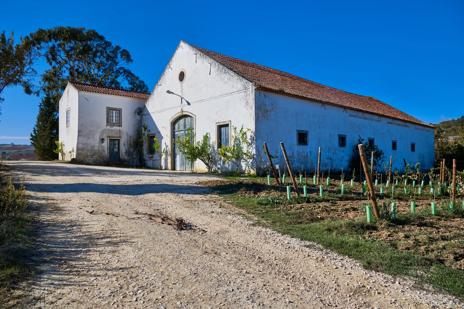 Quinta do Conde — fotografia 11