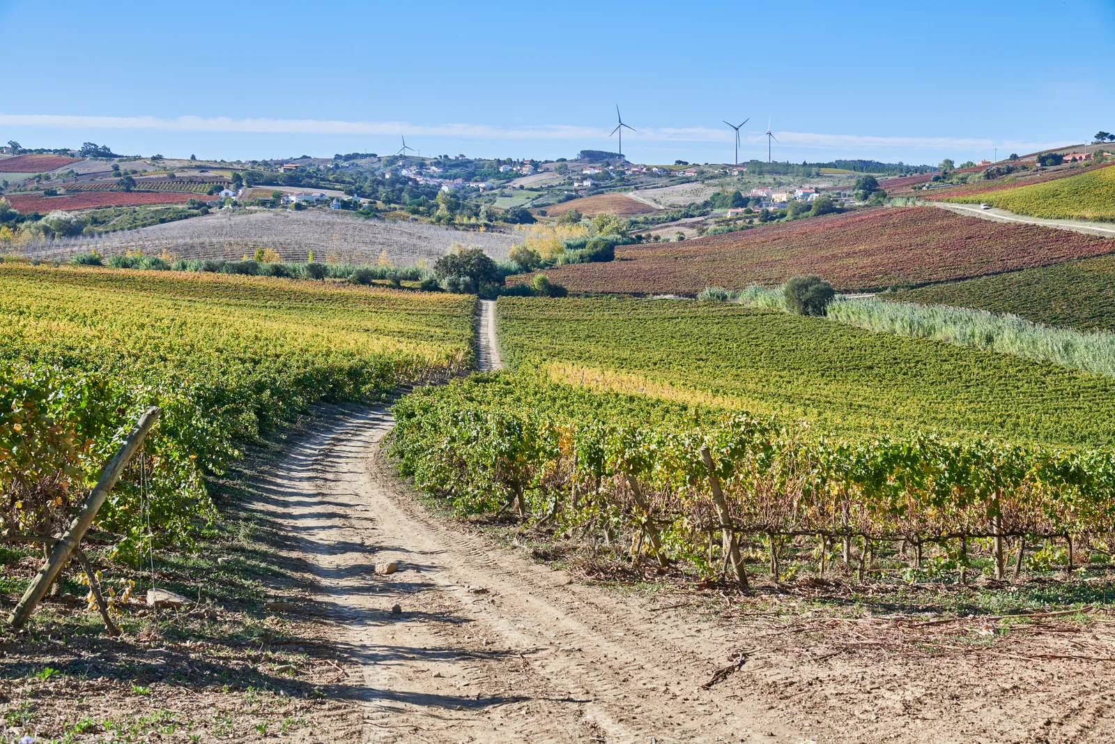 Quinta do Conde — fotografia 12