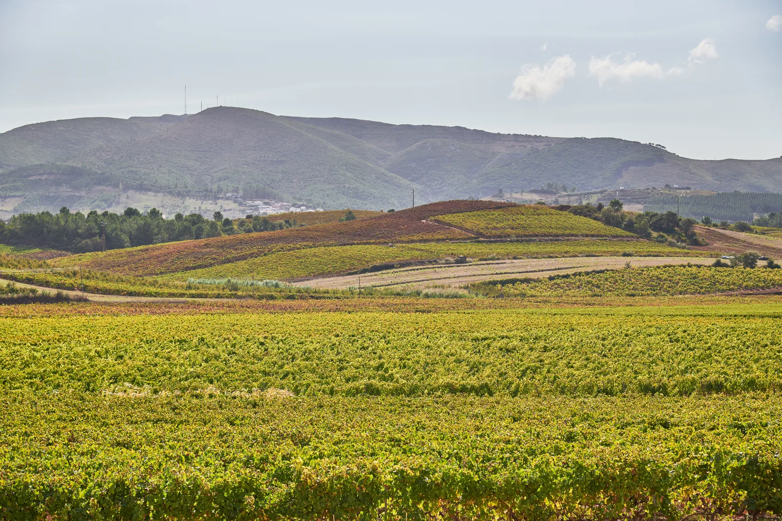 Quinta do Gradil