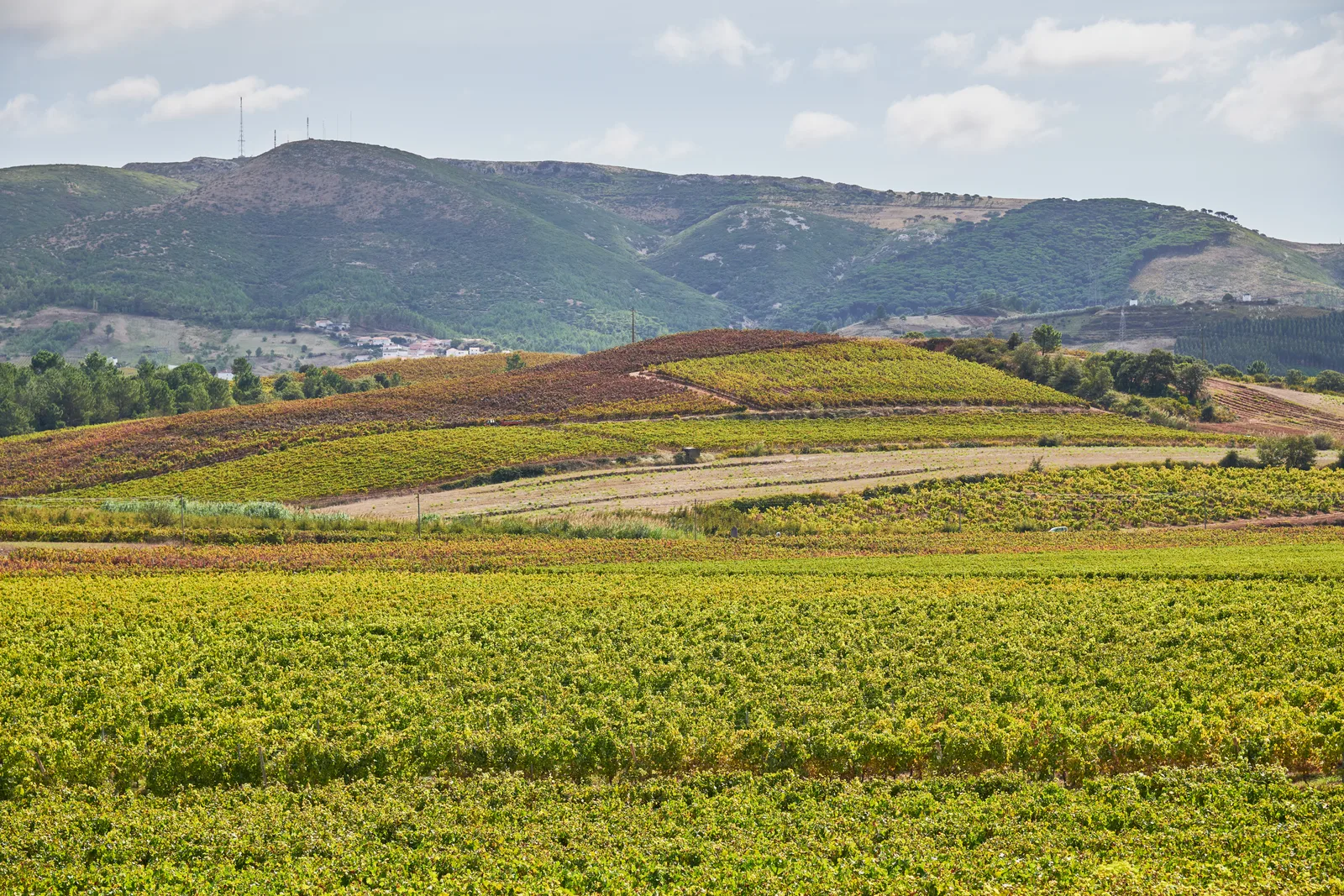Quinta do Gradil — fotografia 6