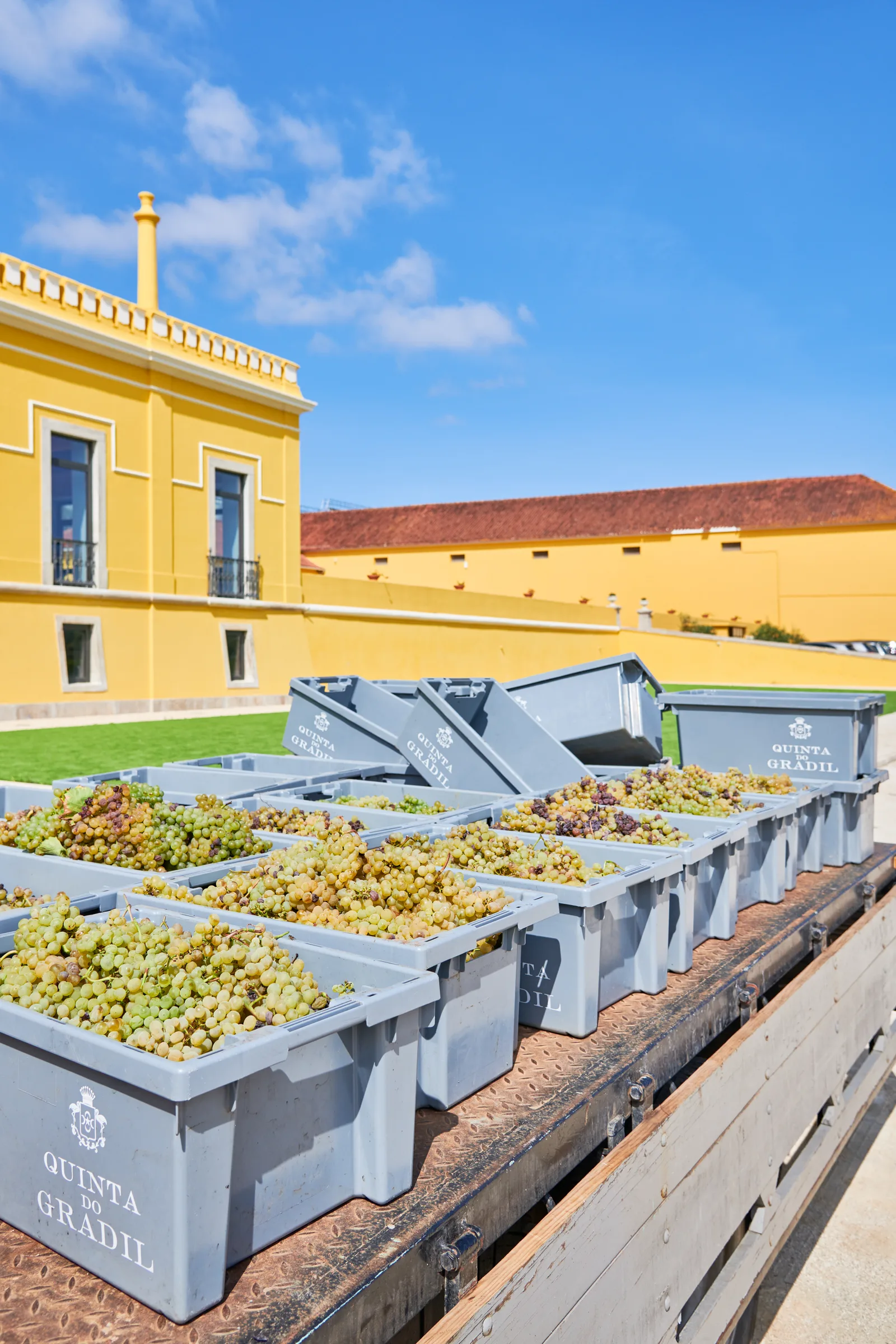 Quinta do Gradil — fotografia 8