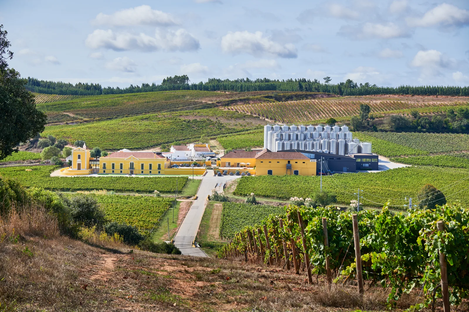 Quinta do Gradil — fotografia 14