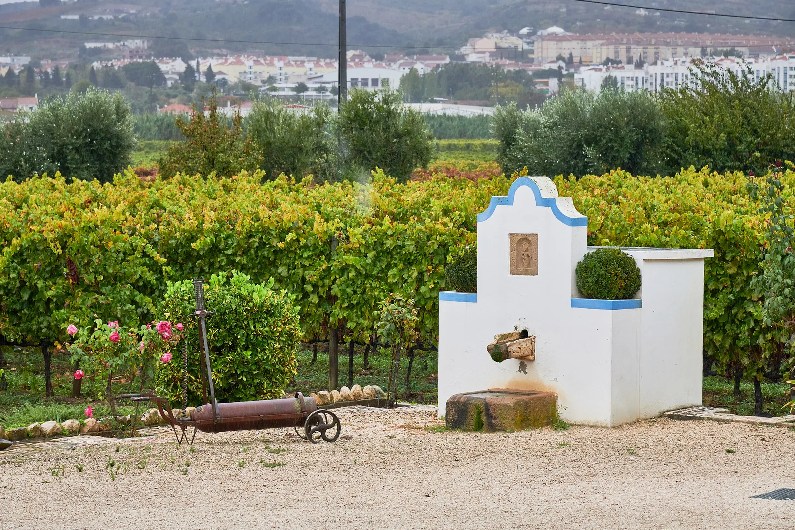 Quinta do Lagar Novo — fotografia 12