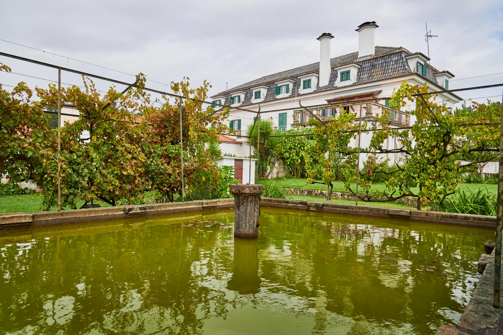 Quinta do Montalto — fotografia 10