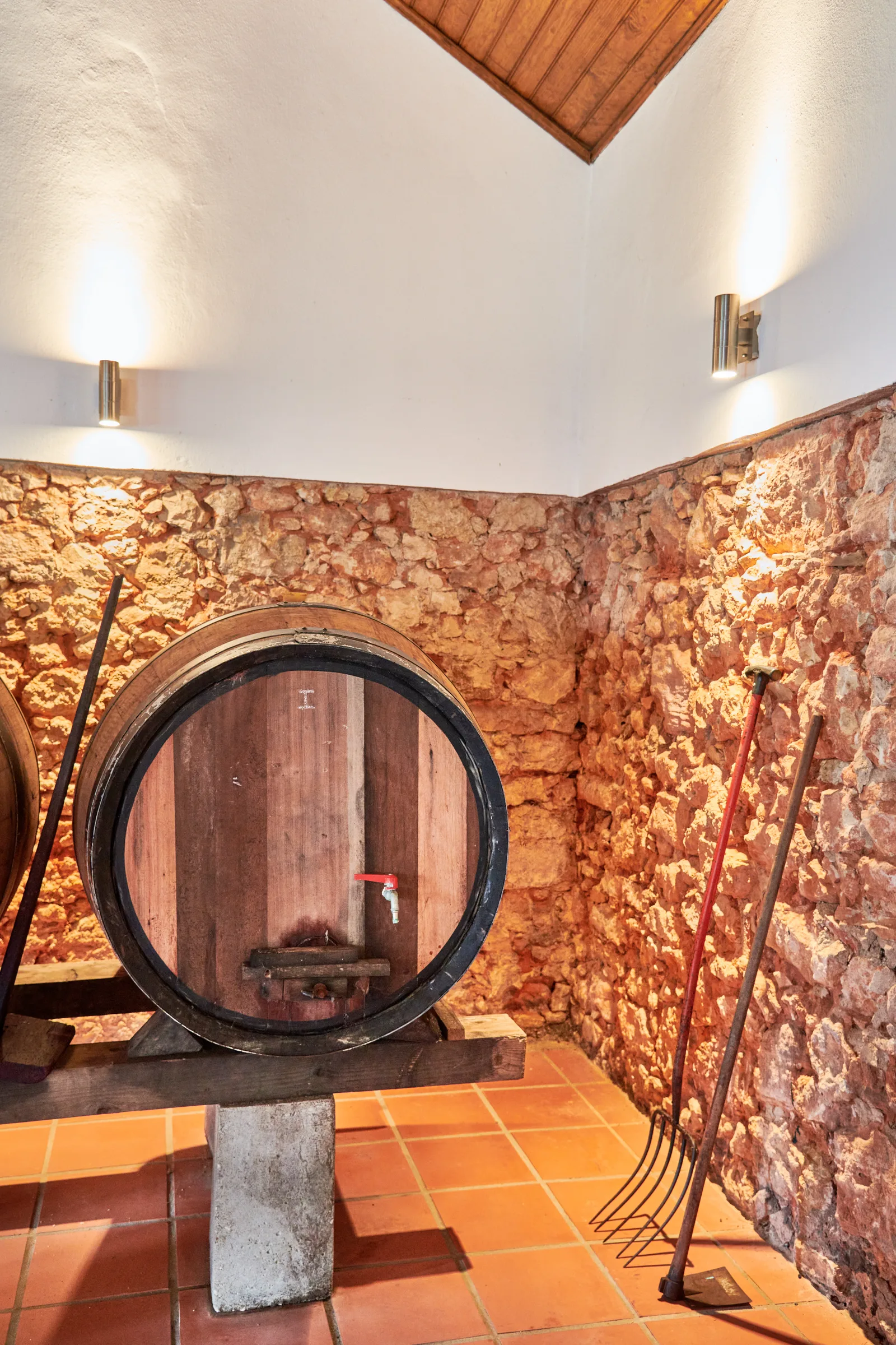 Quinta do Montalto — fotografia 12